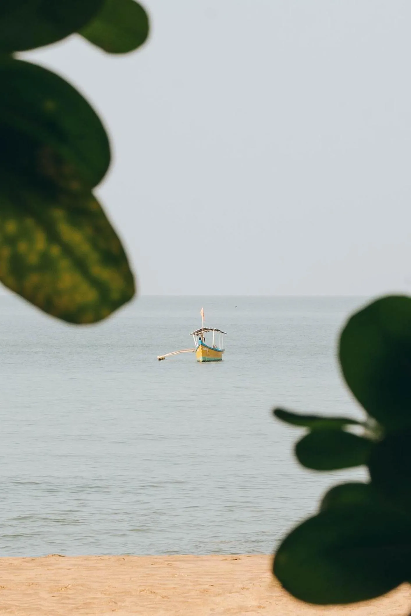 View (from property/room) in Dwarka Beach Resort Goa