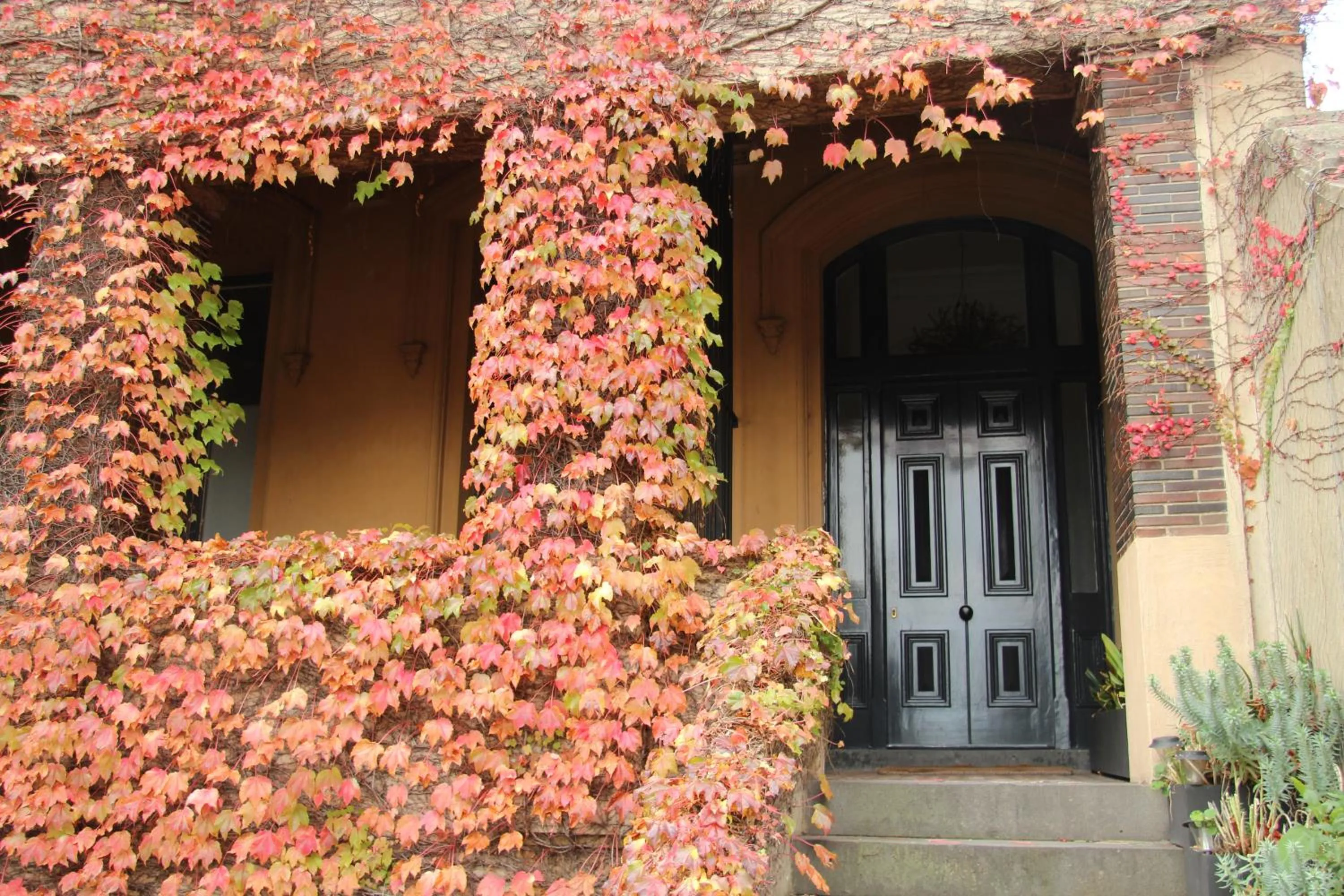 Facade/entrance in Quest St Kilda Bayside