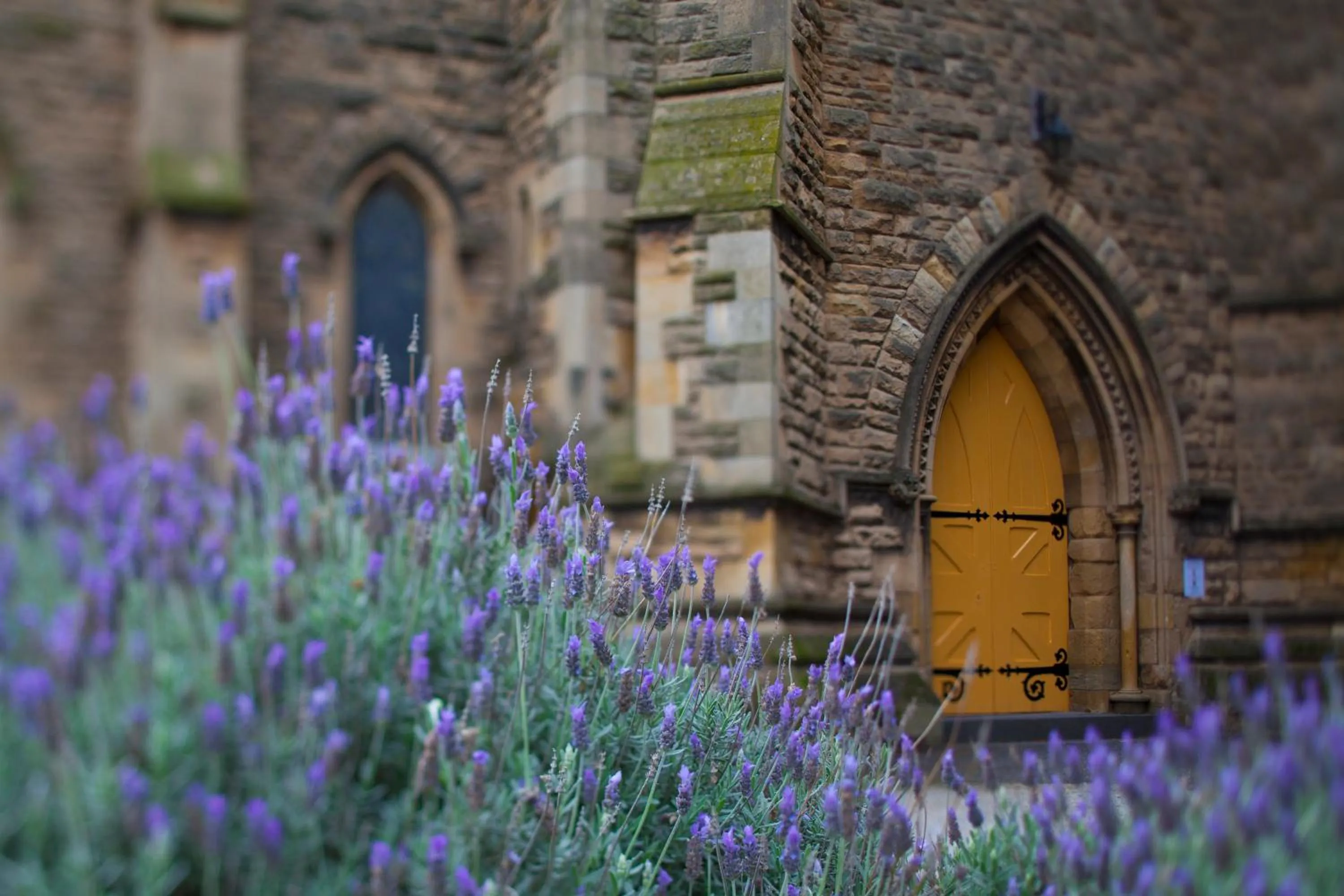 Area and facilities in Quest St Kilda Bayside