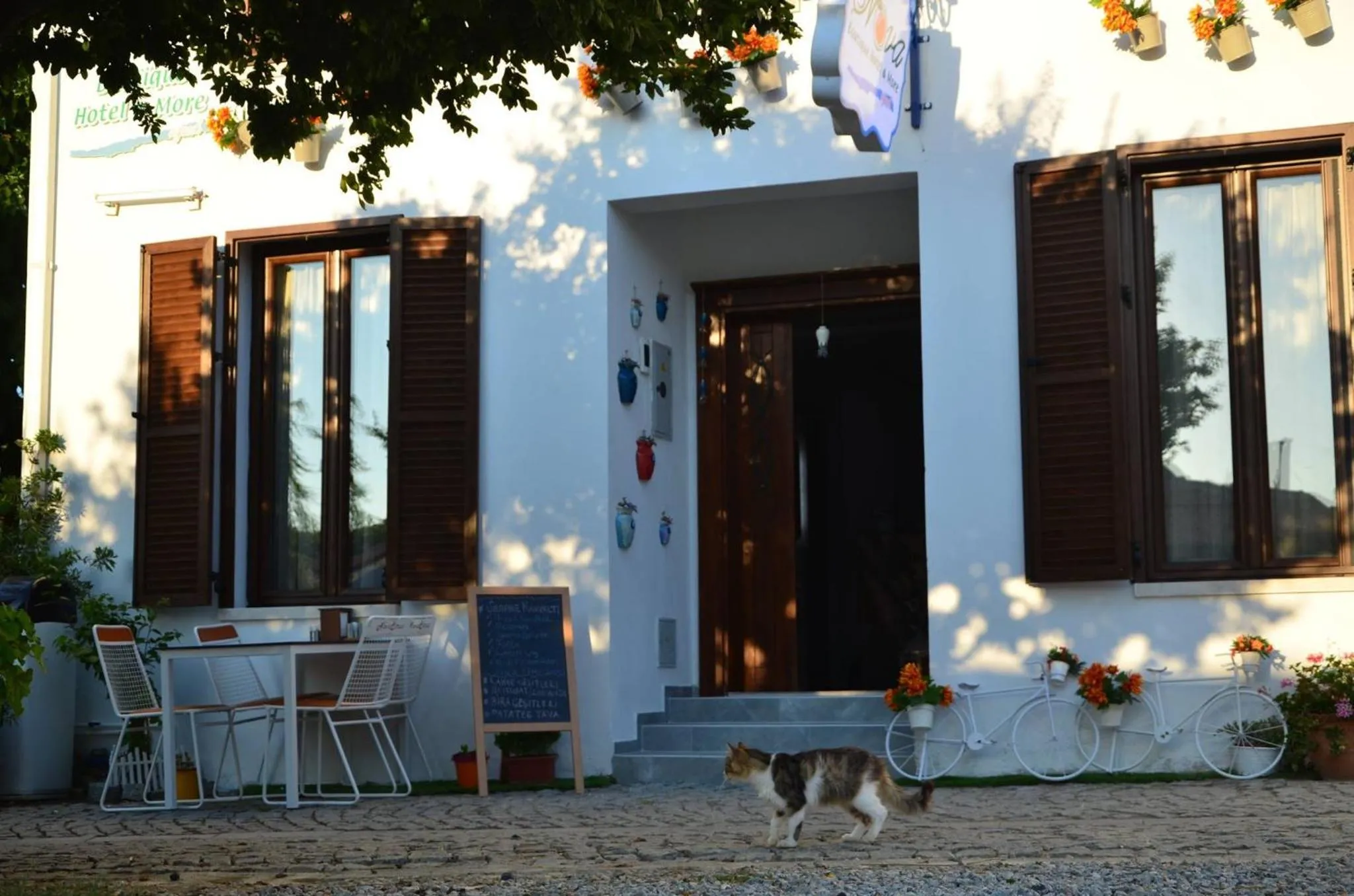 Property building in Nova Citrus Otel