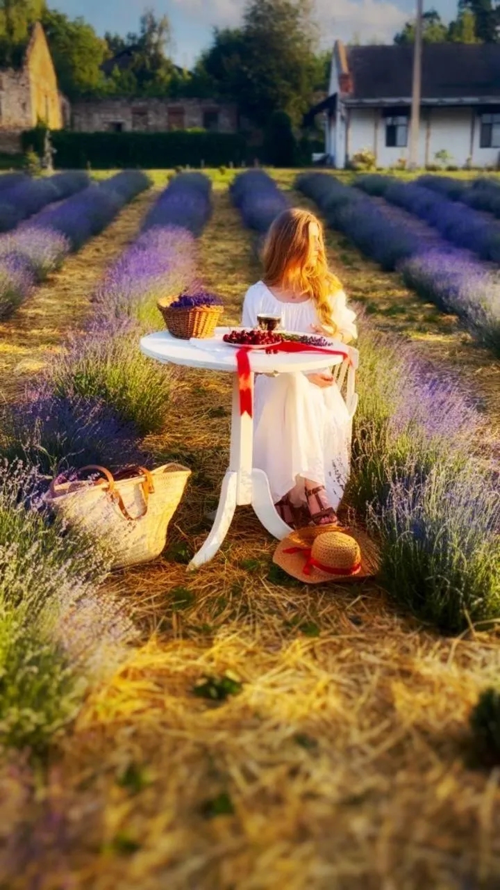 Garden view in Hotel Rafinad