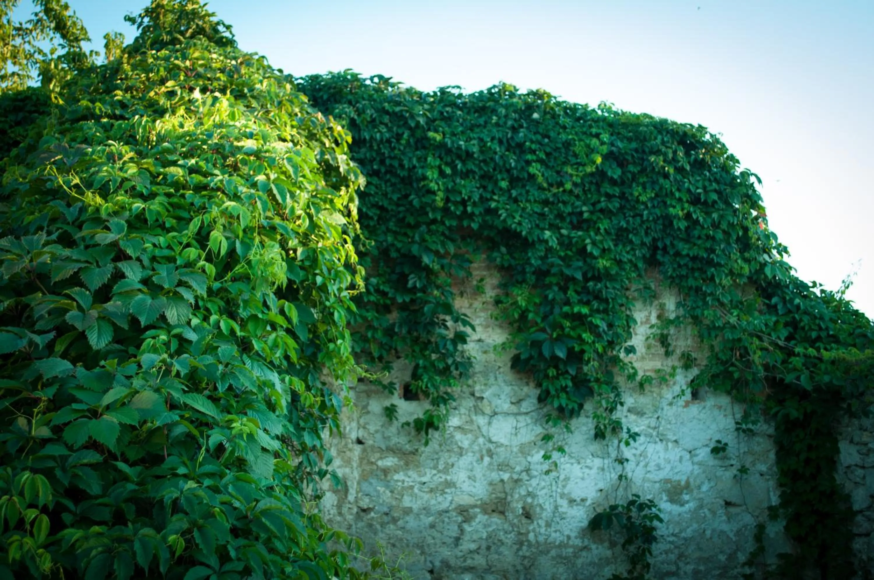 Neighbourhood in Hotel Rafinad