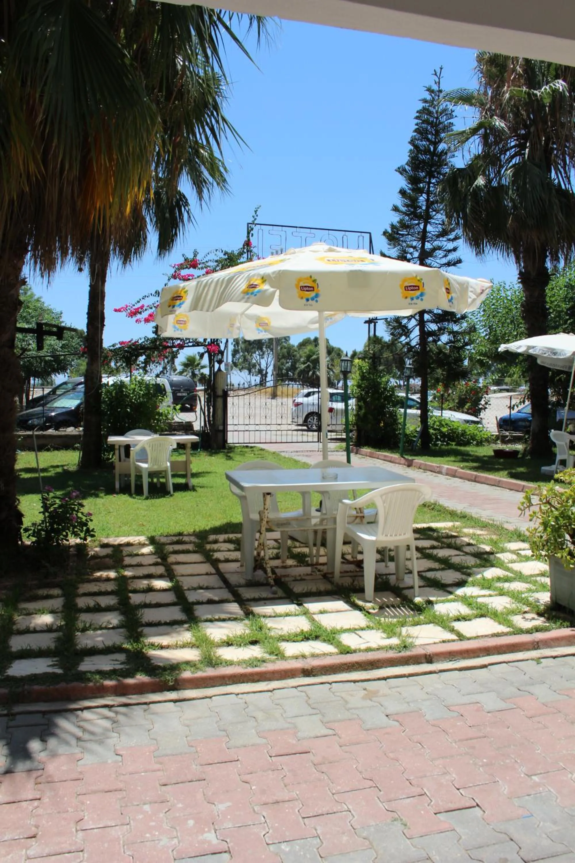 Garden in Hotel Simsek