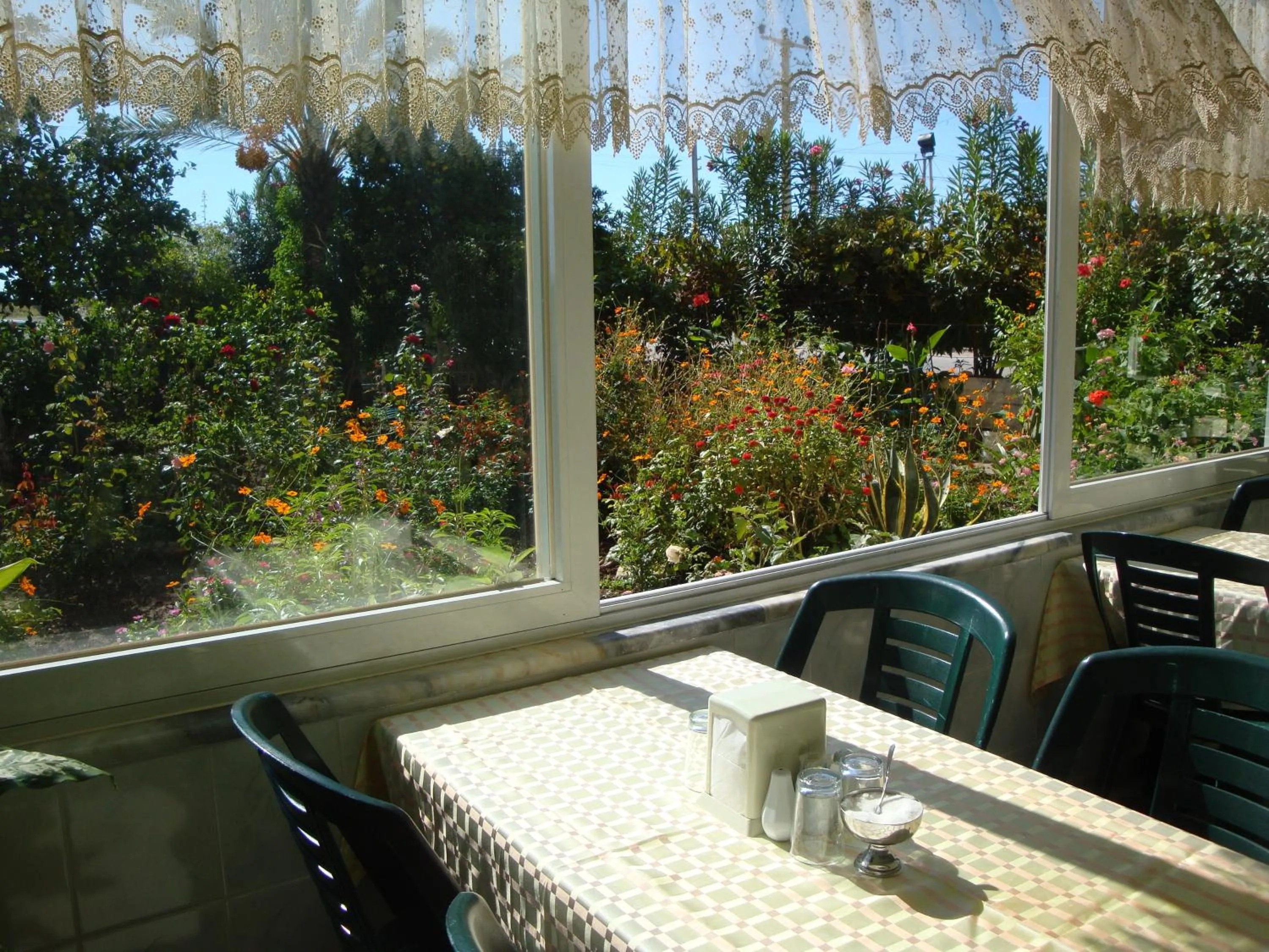 Garden in Hotel Anadolu