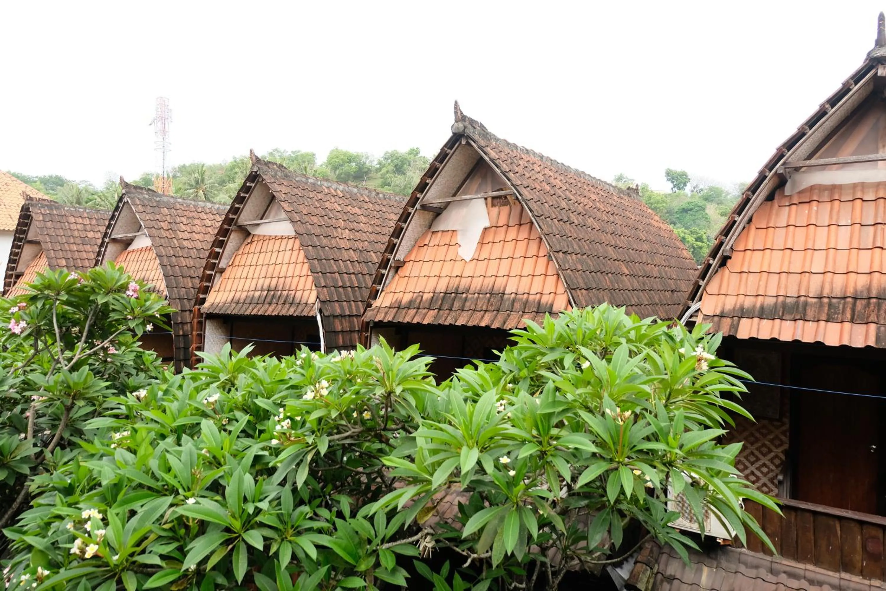 Property building in Kerti Beach Bungalow and Restaurant