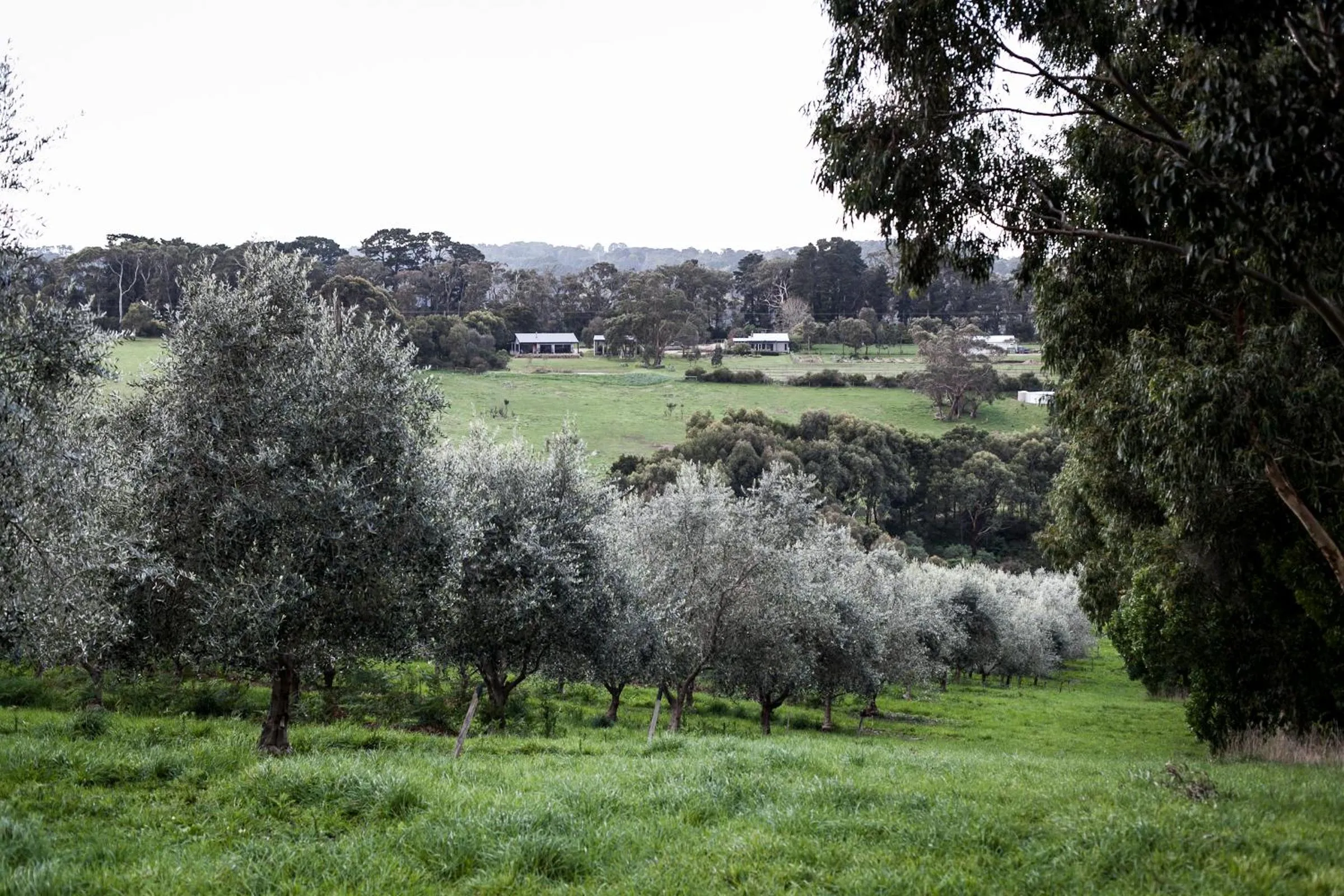 Natural landscape in Hart's Farm