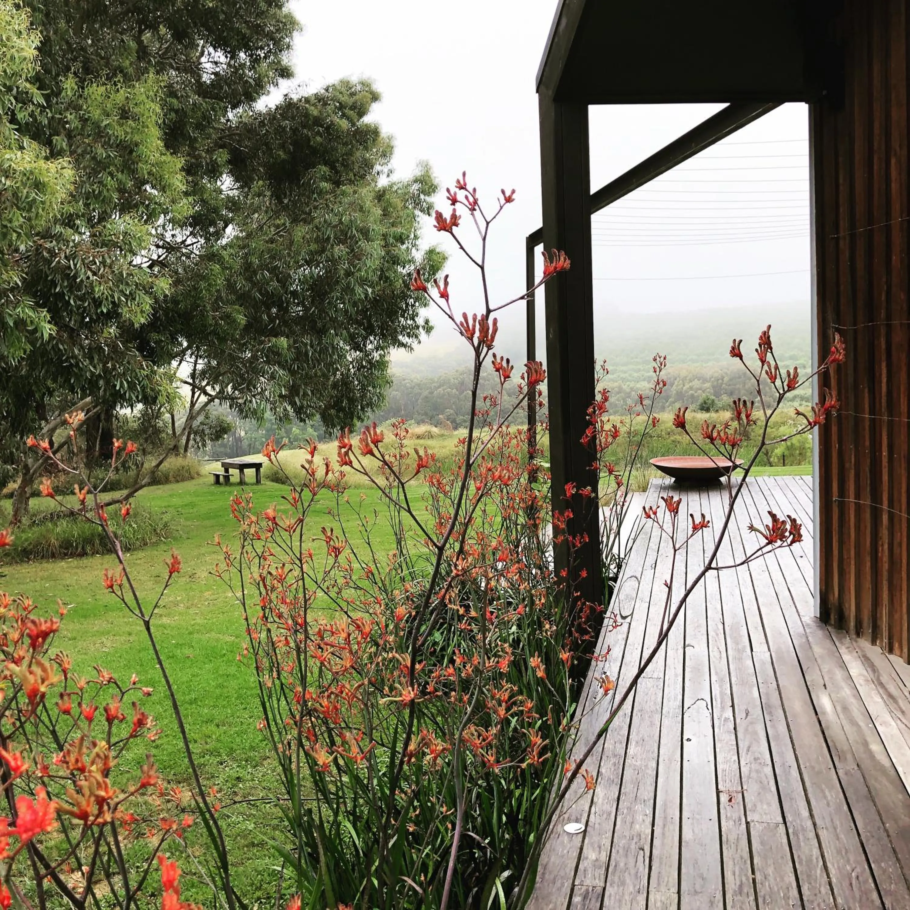 Garden in Hart's Farm