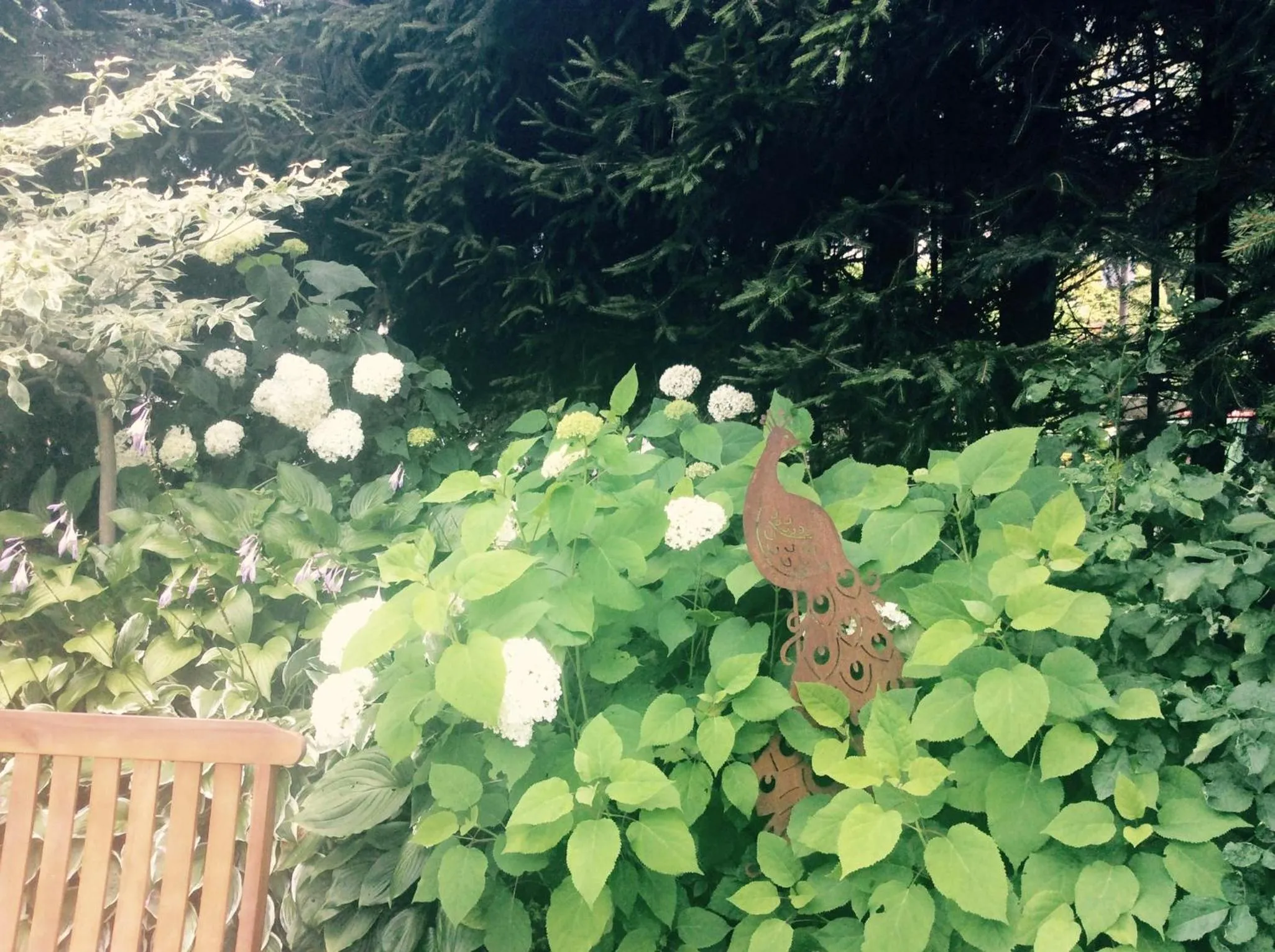 Garden in Ferienwohnungen Familie Wetzlinger