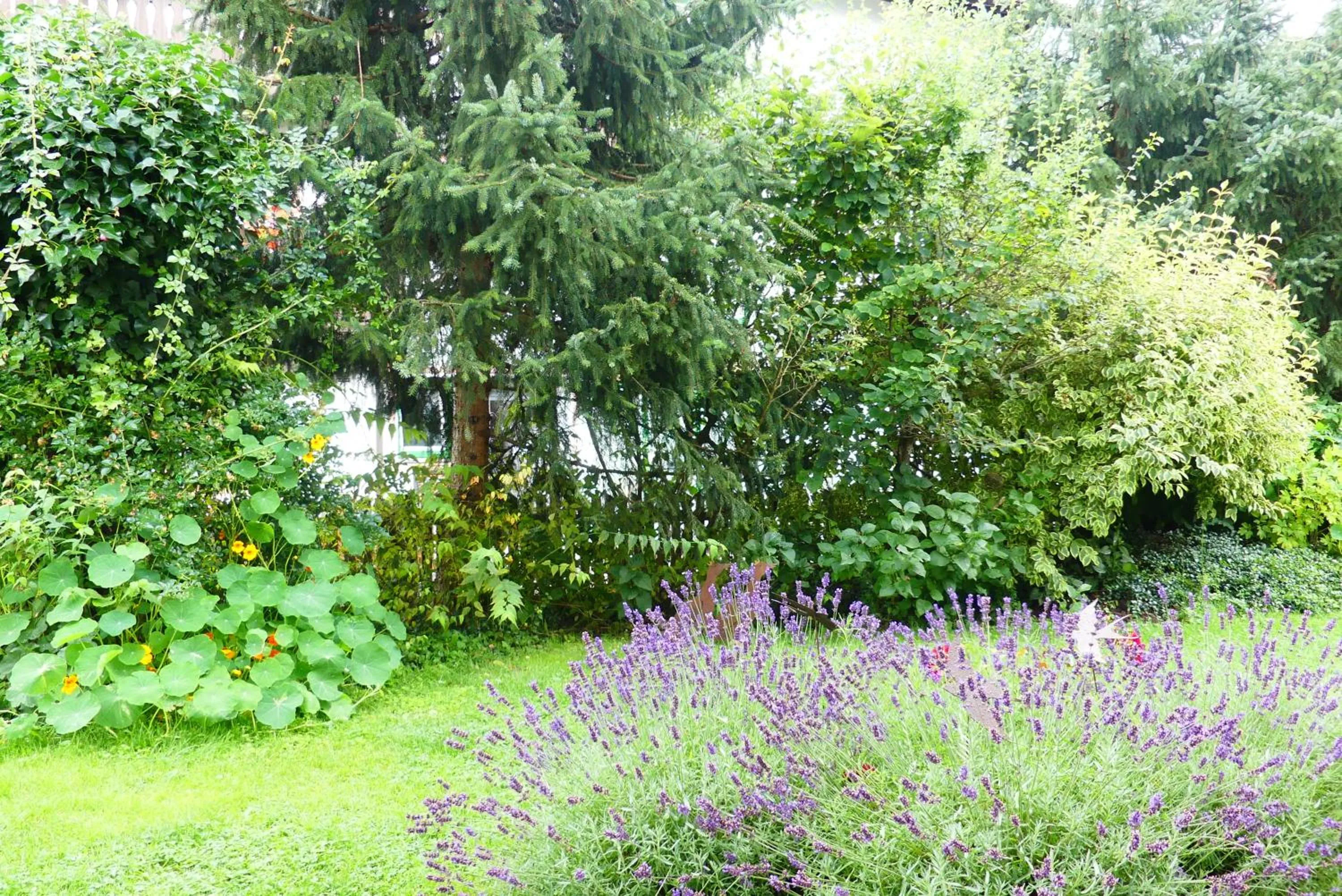 Garden view in Ferienwohnungen Familie Wetzlinger
