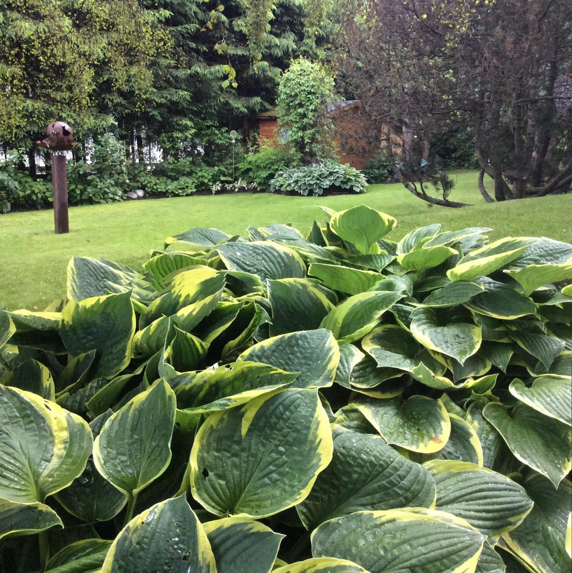 Garden in Ferienwohnungen Familie Wetzlinger
