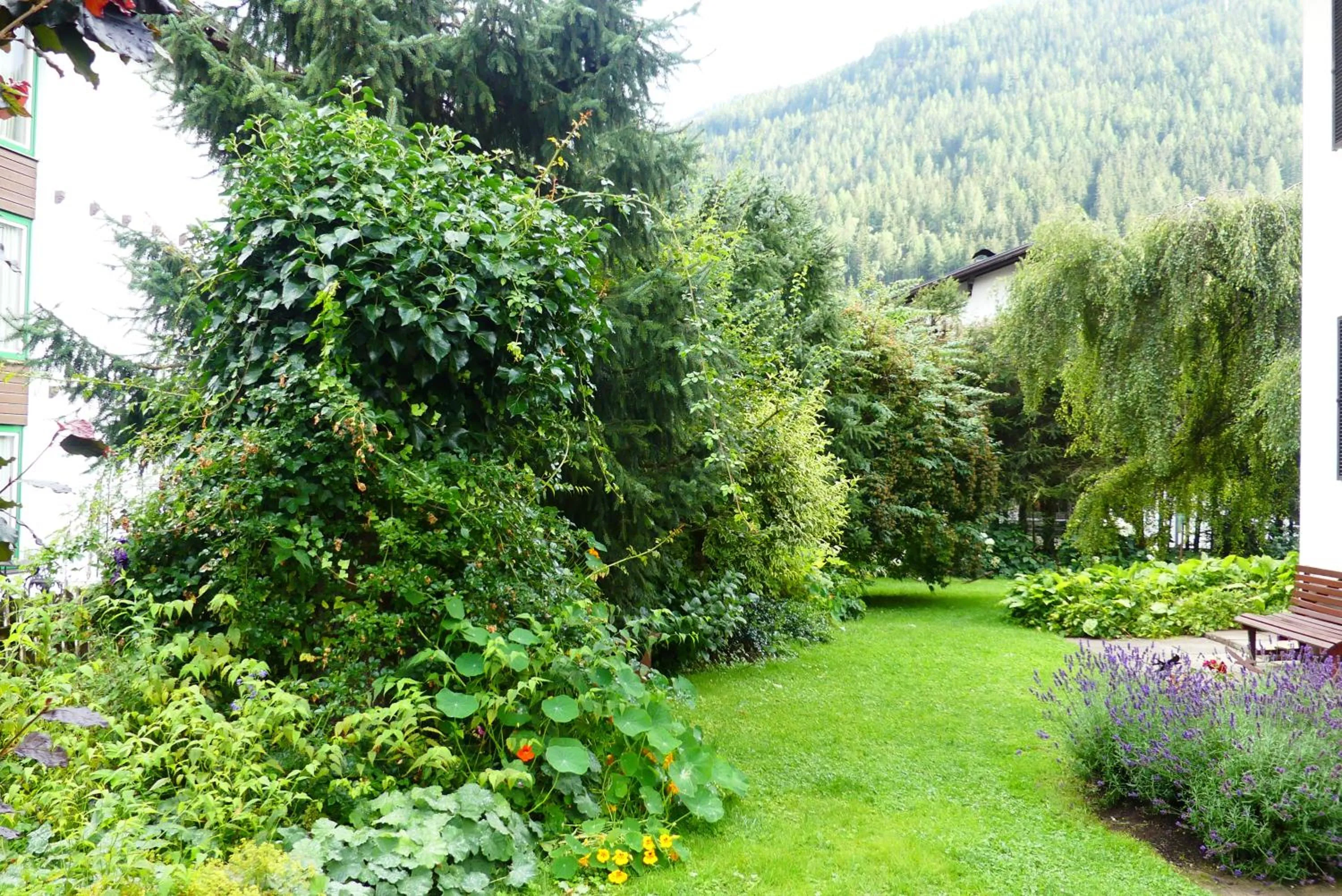 Garden view in Ferienwohnungen Familie Wetzlinger