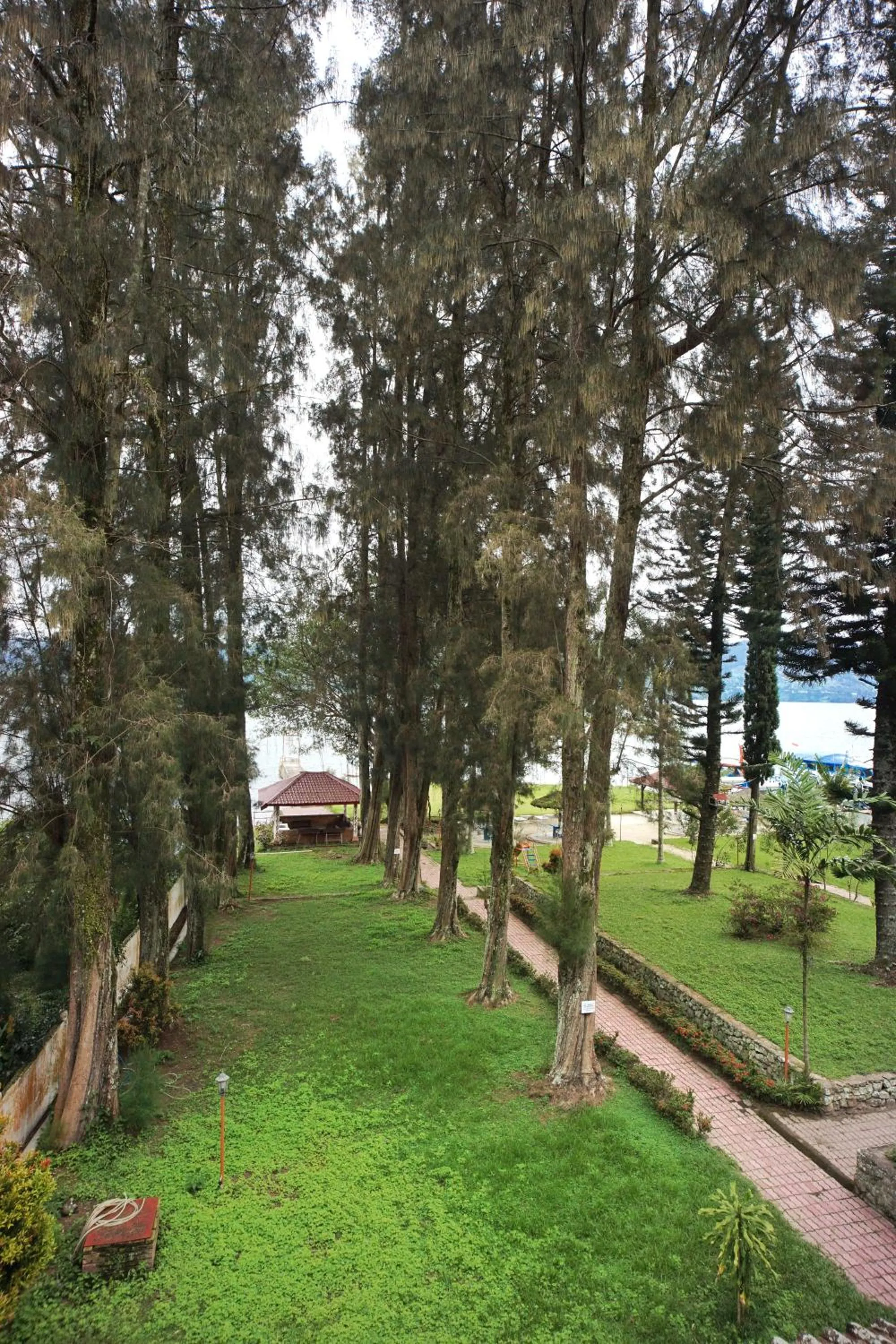 Natural landscape in Hotel Pandu Lakeside Tuktuk