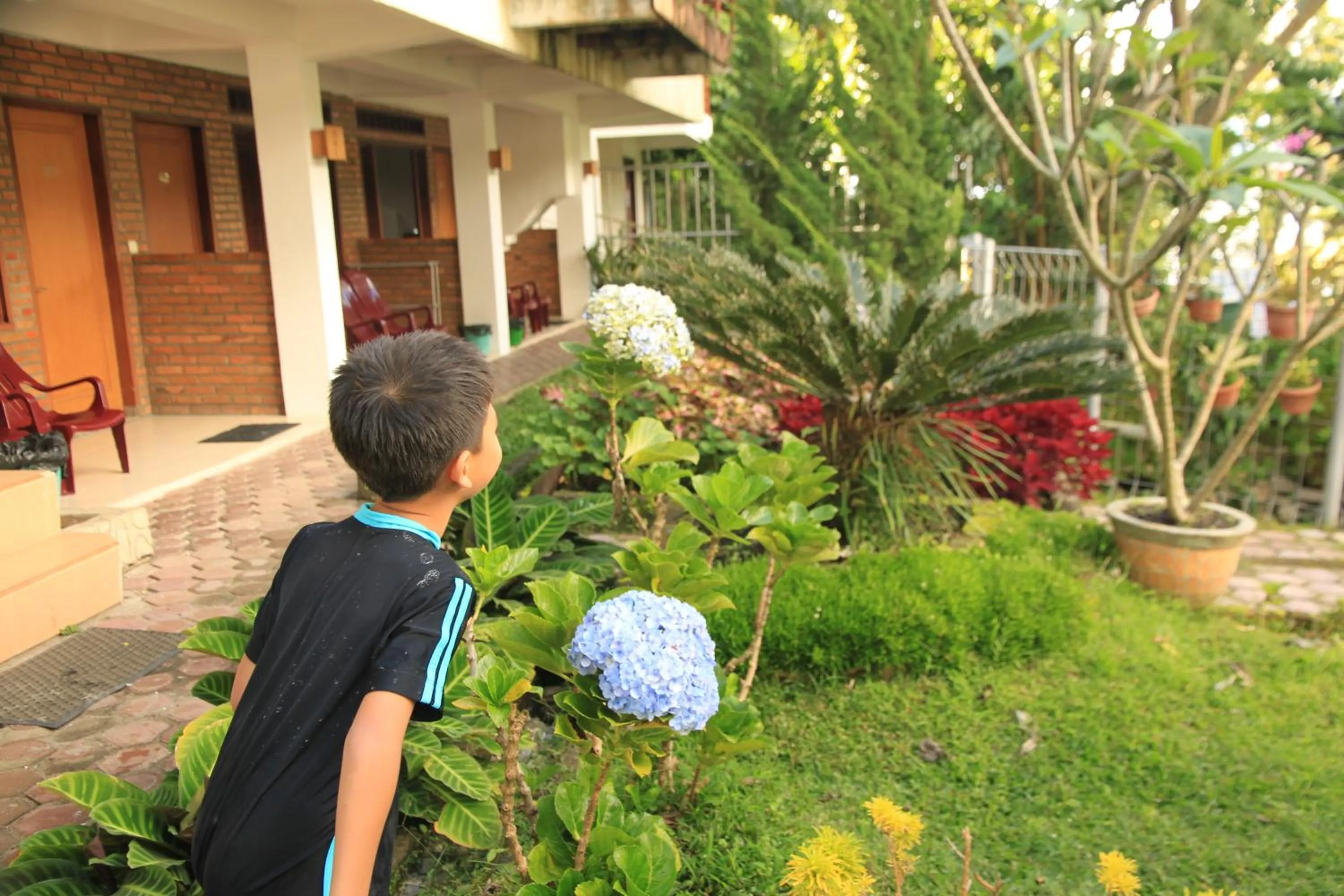 Pandu Lakeside Hotel Parapat