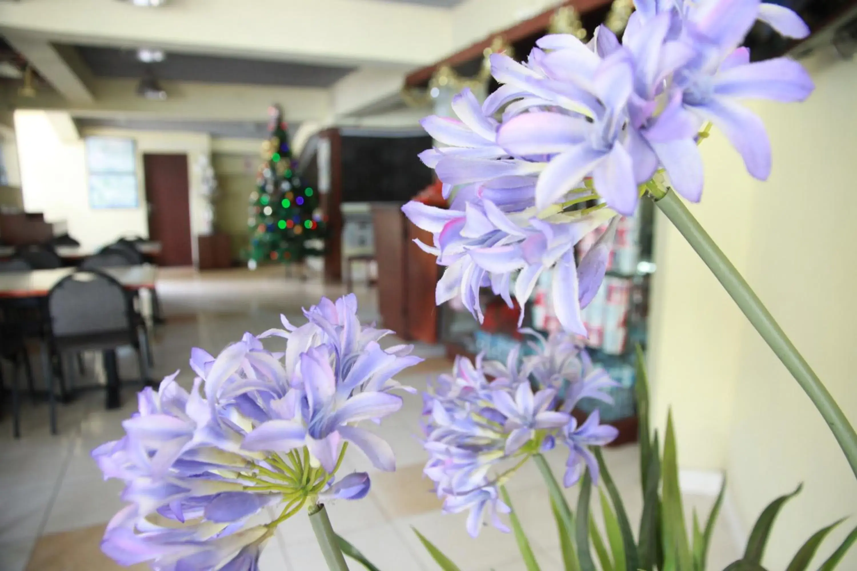 Lobby or reception in Pandu Lakeside Hotel Parapat Lobby or reception in Pandu Lakeside Hotel Parapat