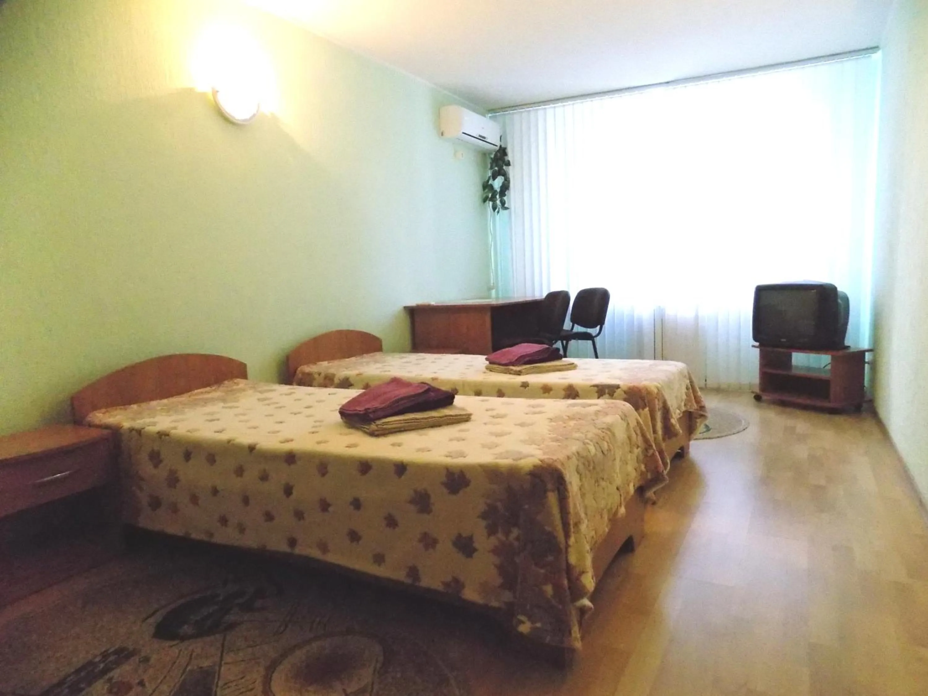Twin Room in Elektromash Hotel