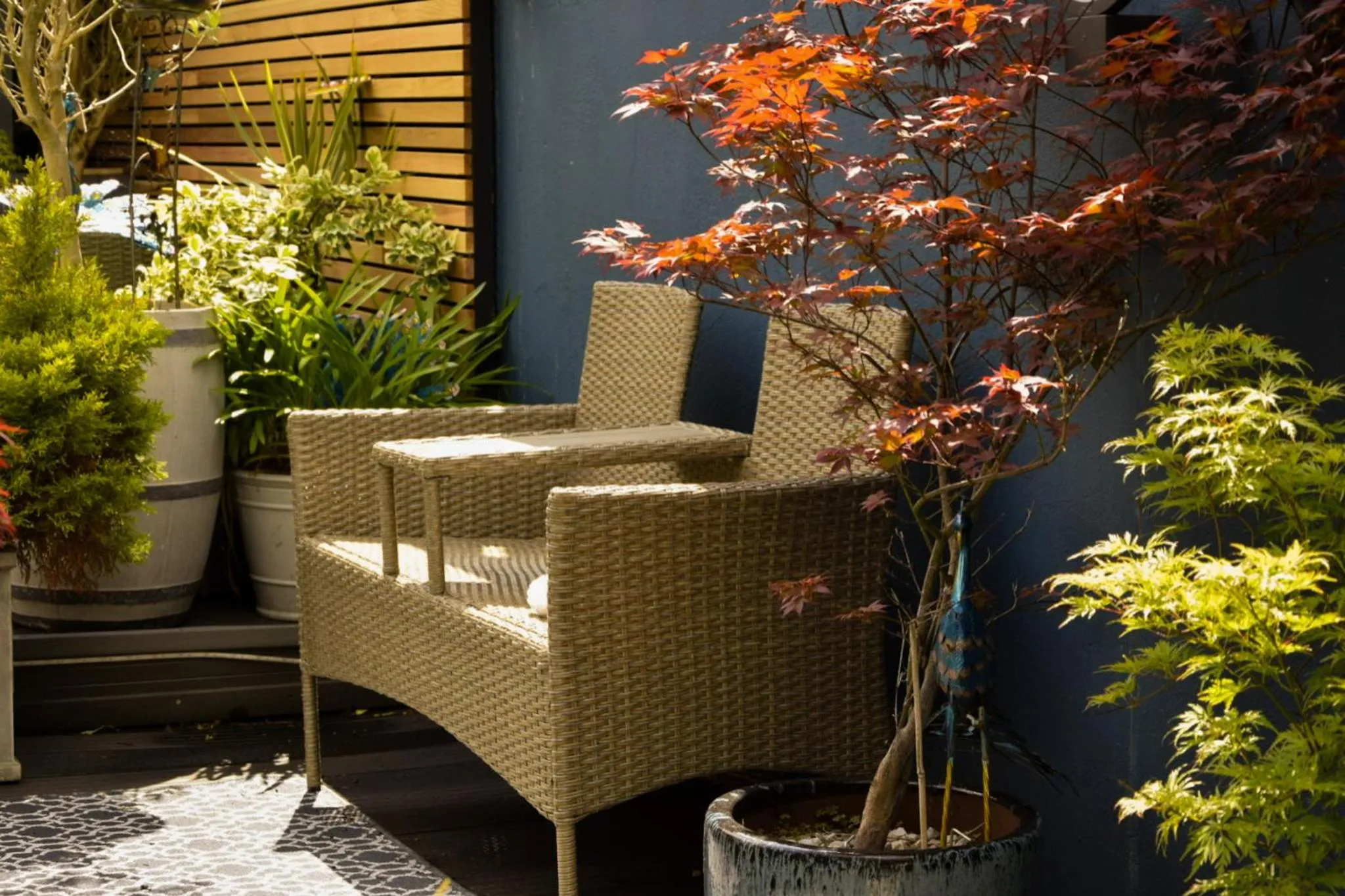 Garden in Avoca House