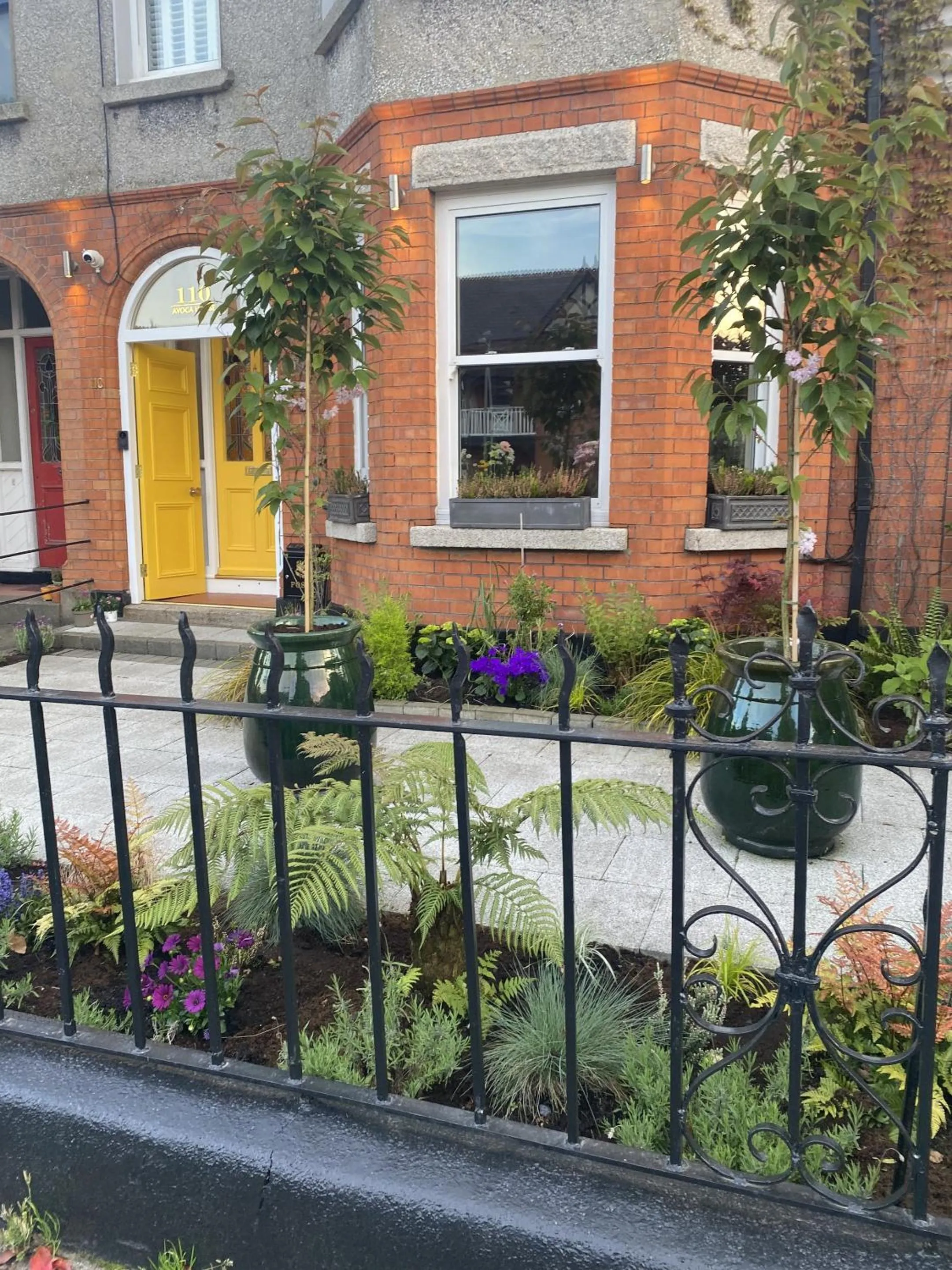 Garden in Avoca House B&B