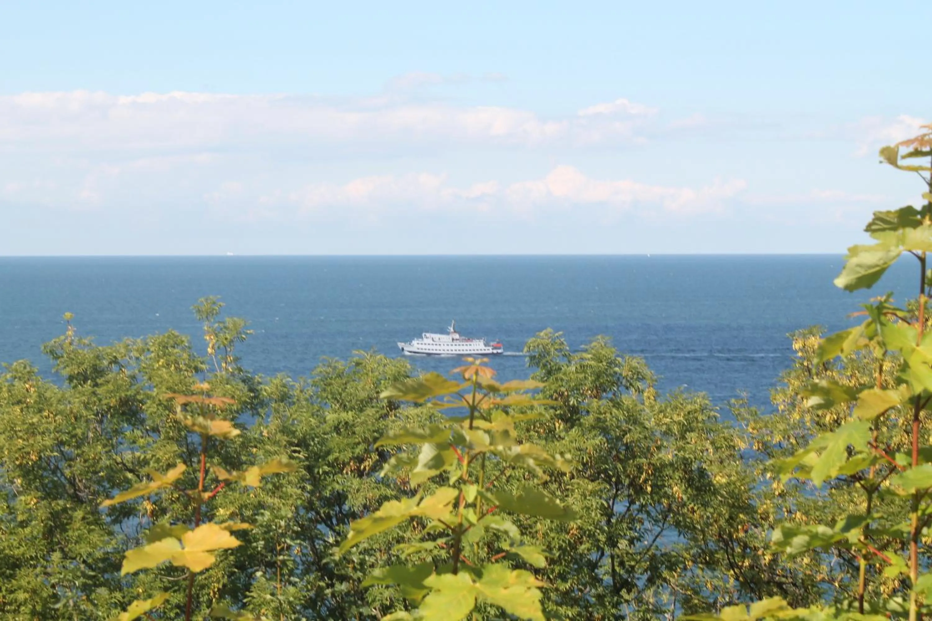 View (from property/room) in Panorama Hotel Lohme