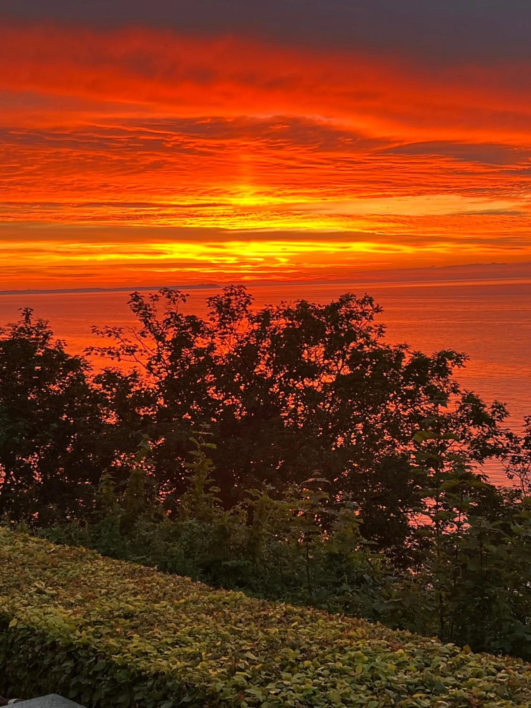 View (from property/room) in Panorama Hotel Lohme