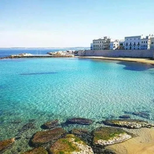 Buonanotte Gallipoli