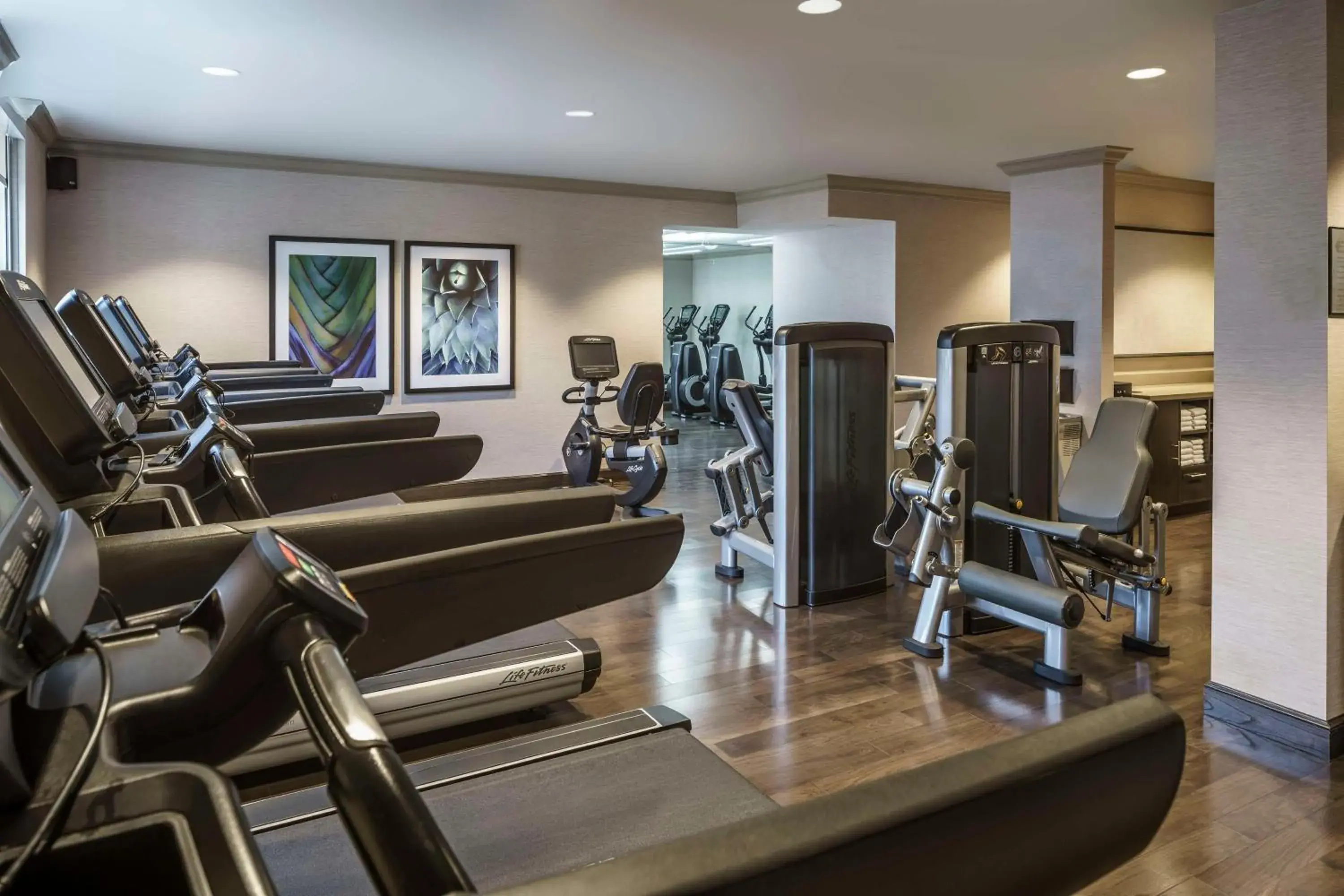 Fitness centre/facilities in Hyatt Regency Coral Gables in Miami Fitness centre/facilities in Hyatt Regency Coral Gables in Miami