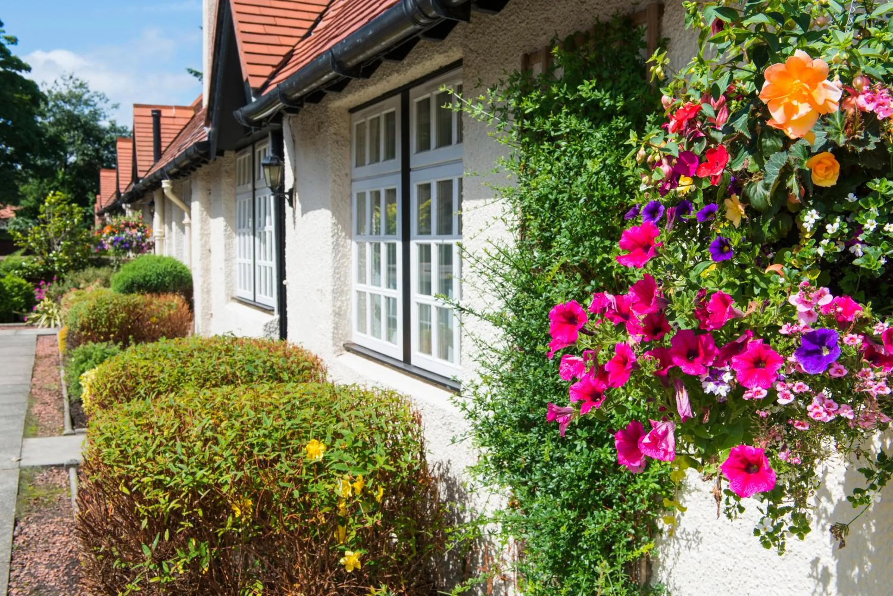 Garden view in Piersland House
