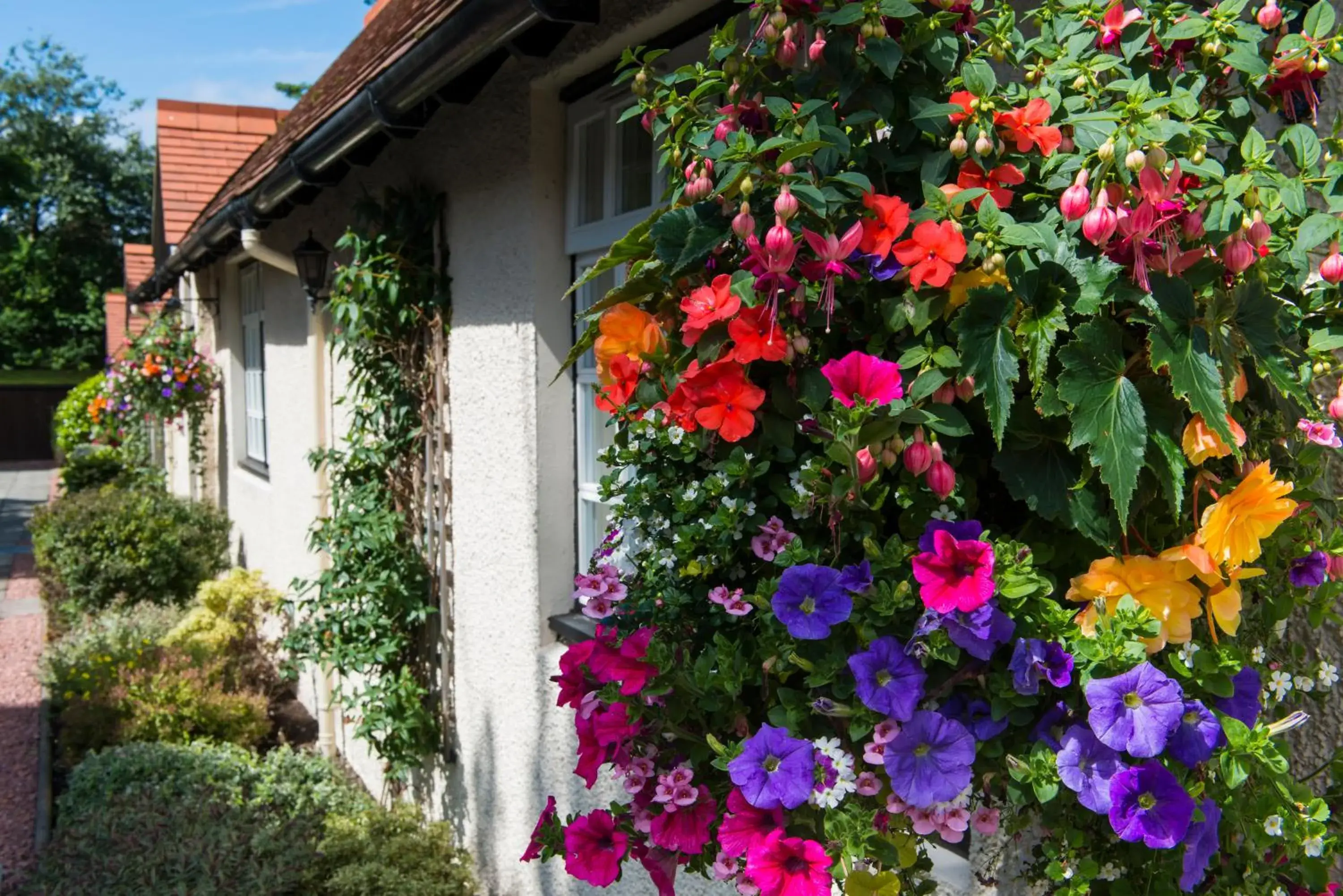 Garden view in Piersland House Garden view in Piersland House