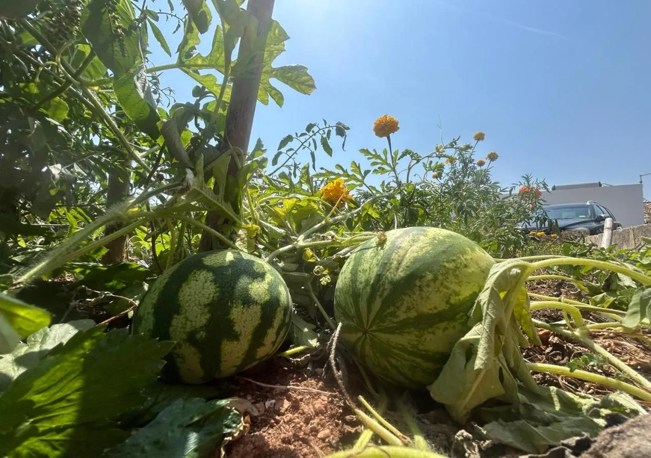 Off site in Agroturismo Matxani Gran