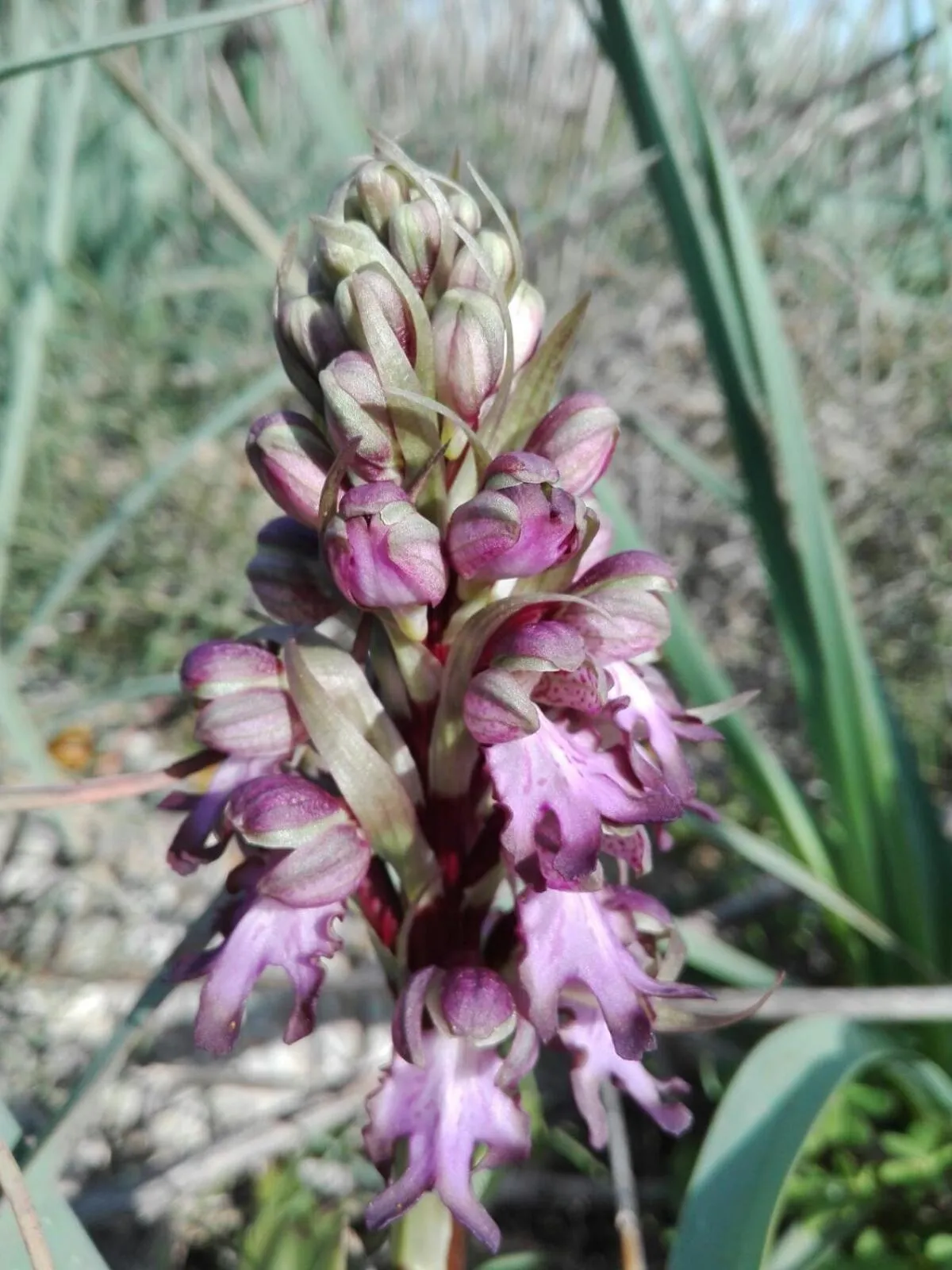 Natural landscape in Agroturismo Matxani Gran