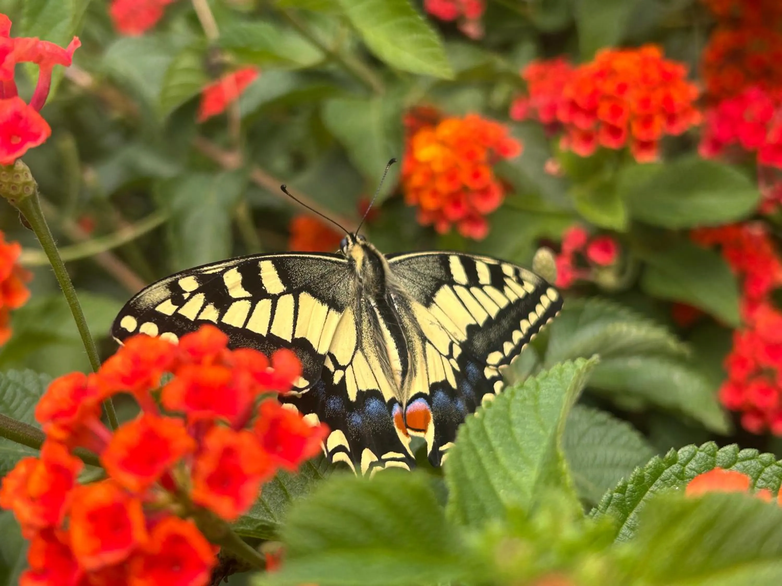Natural landscape in Agroturismo Matxani Gran