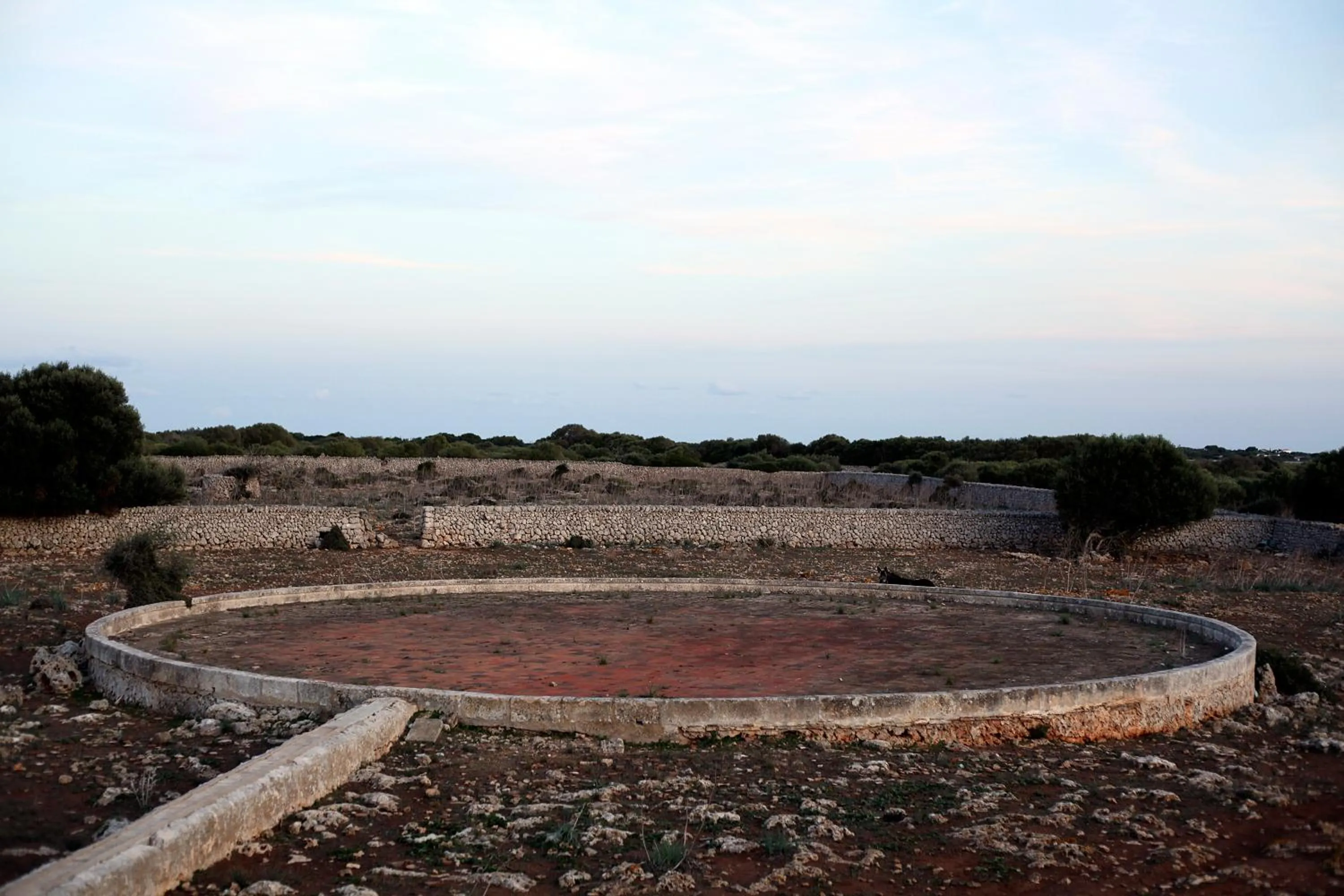 Garden view in Agroturismo Matxani Gran