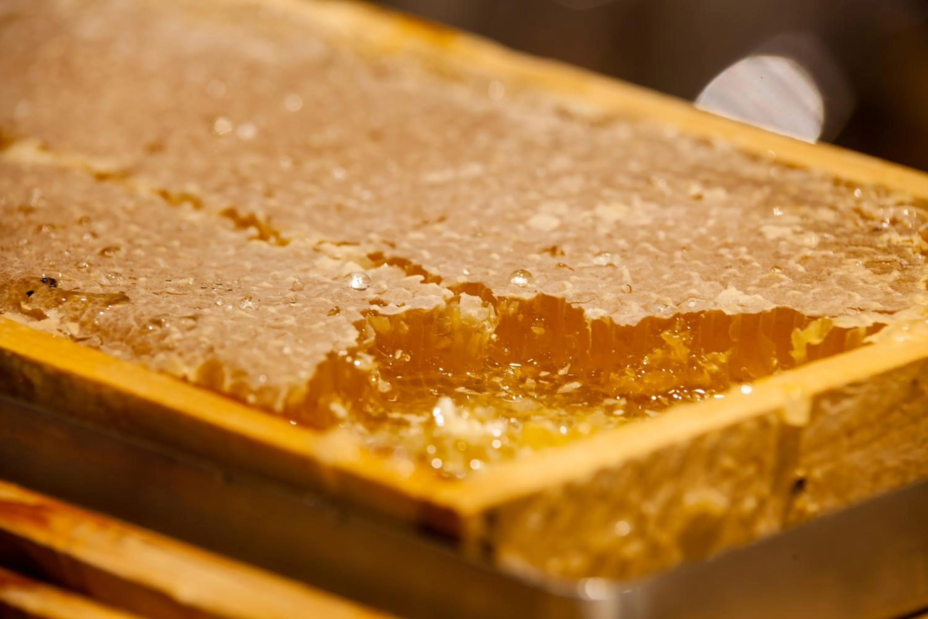 Buffet breakfast in Hotel-Restaurant Grimmingblick