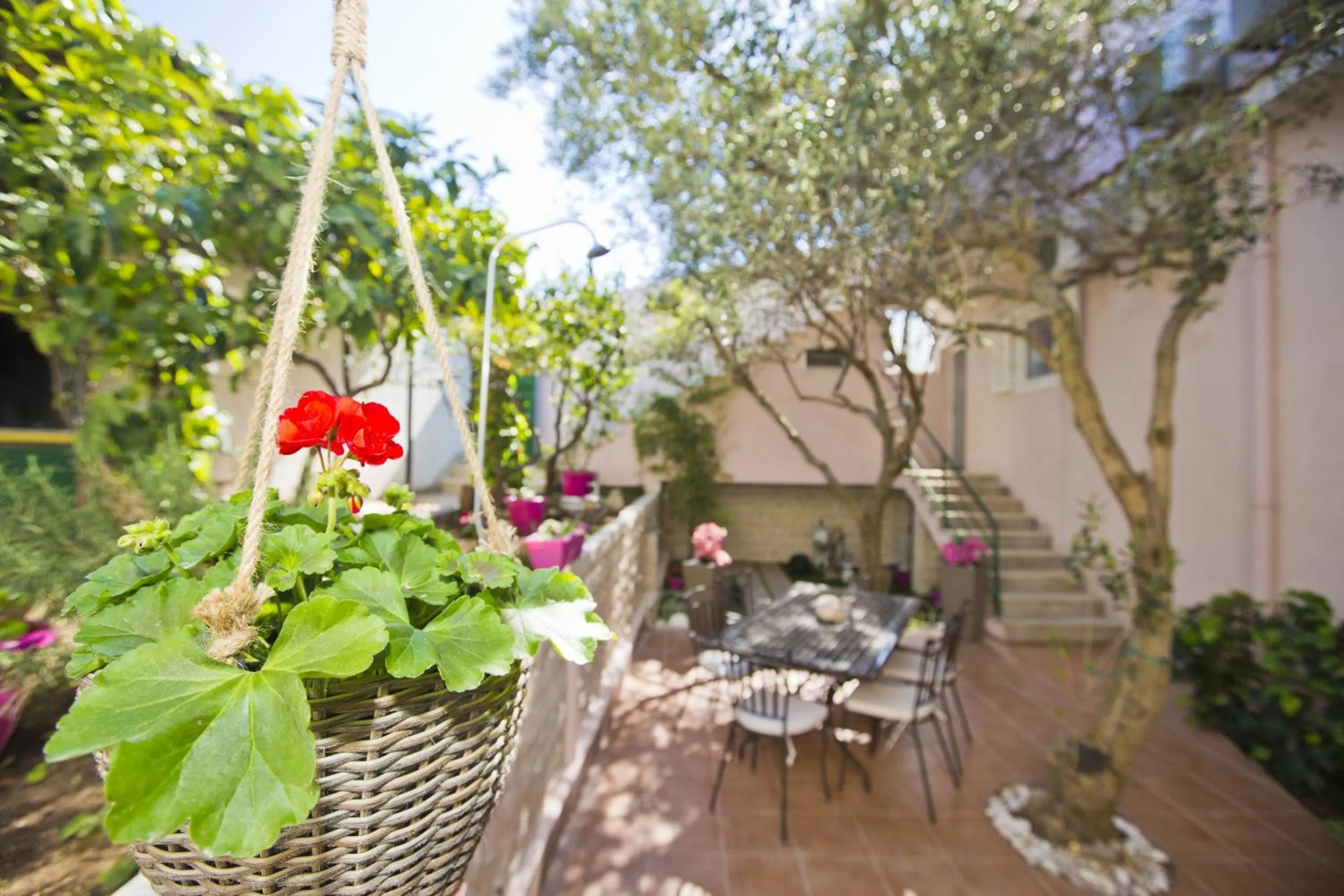 Garden in Villa Milton Hvar