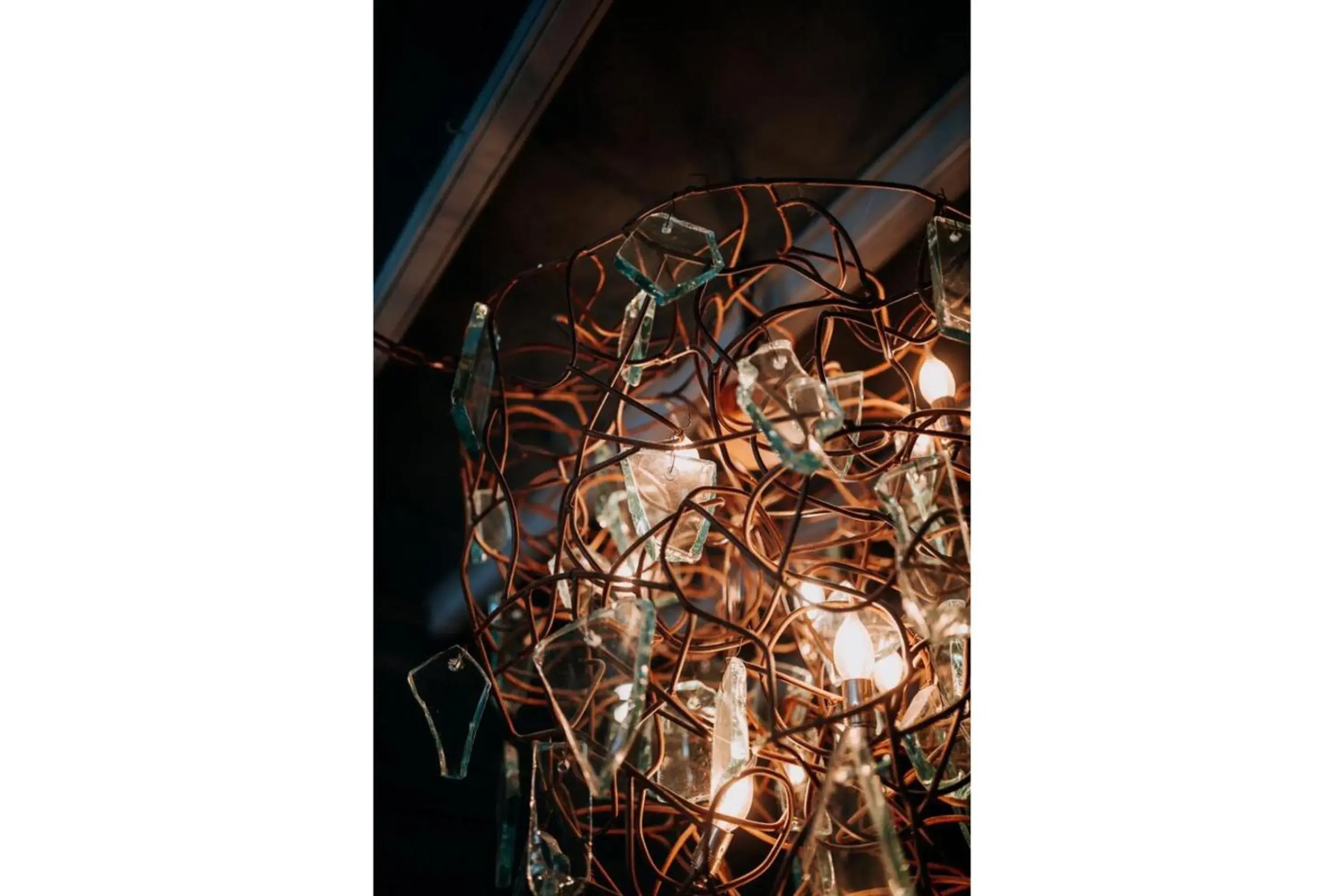 Restaurant/places to eat in OYO The Leven Restaurant/places to eat in OYO The Leven