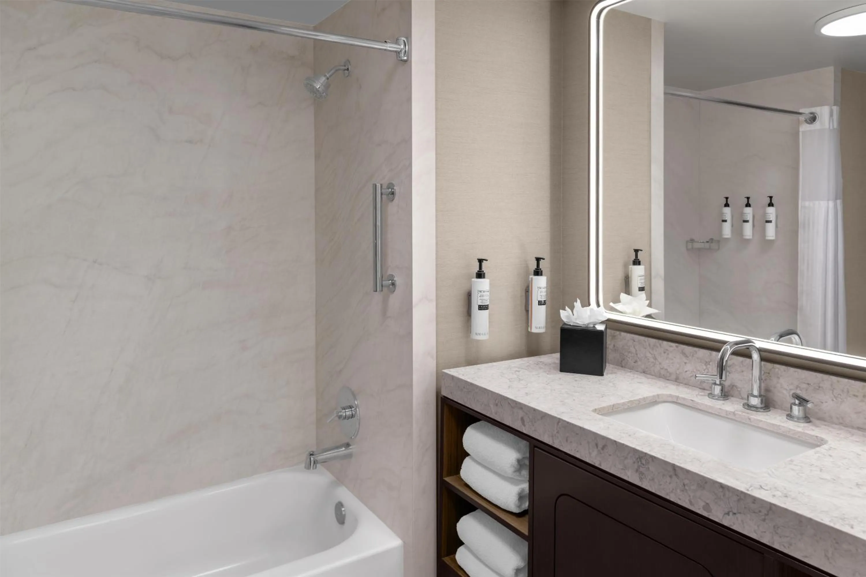 Bathroom in Embassy Suites San Antonio Riverwalk-Downtown