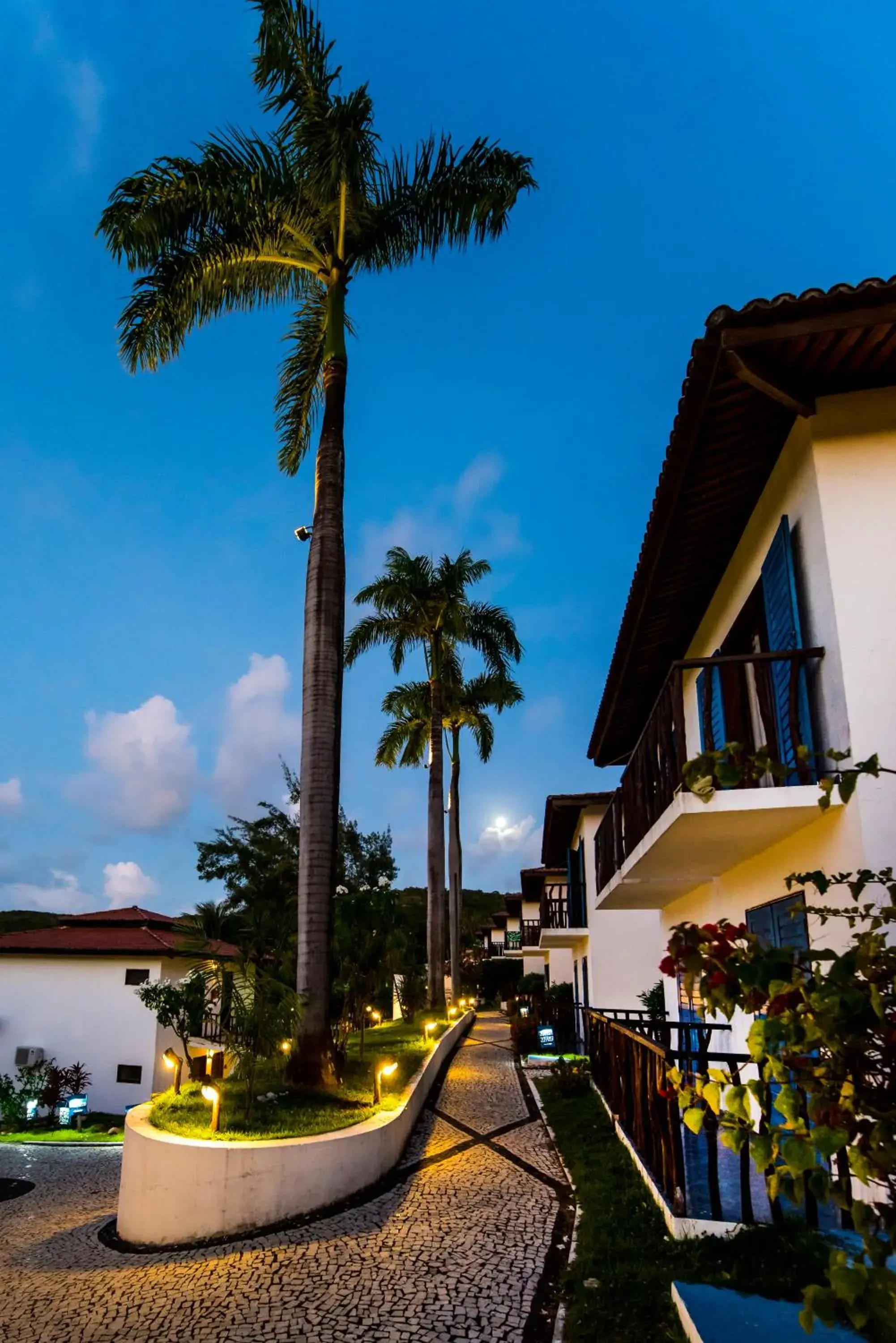 Garden view in D Beach Resort Garden view in D Beach Resort