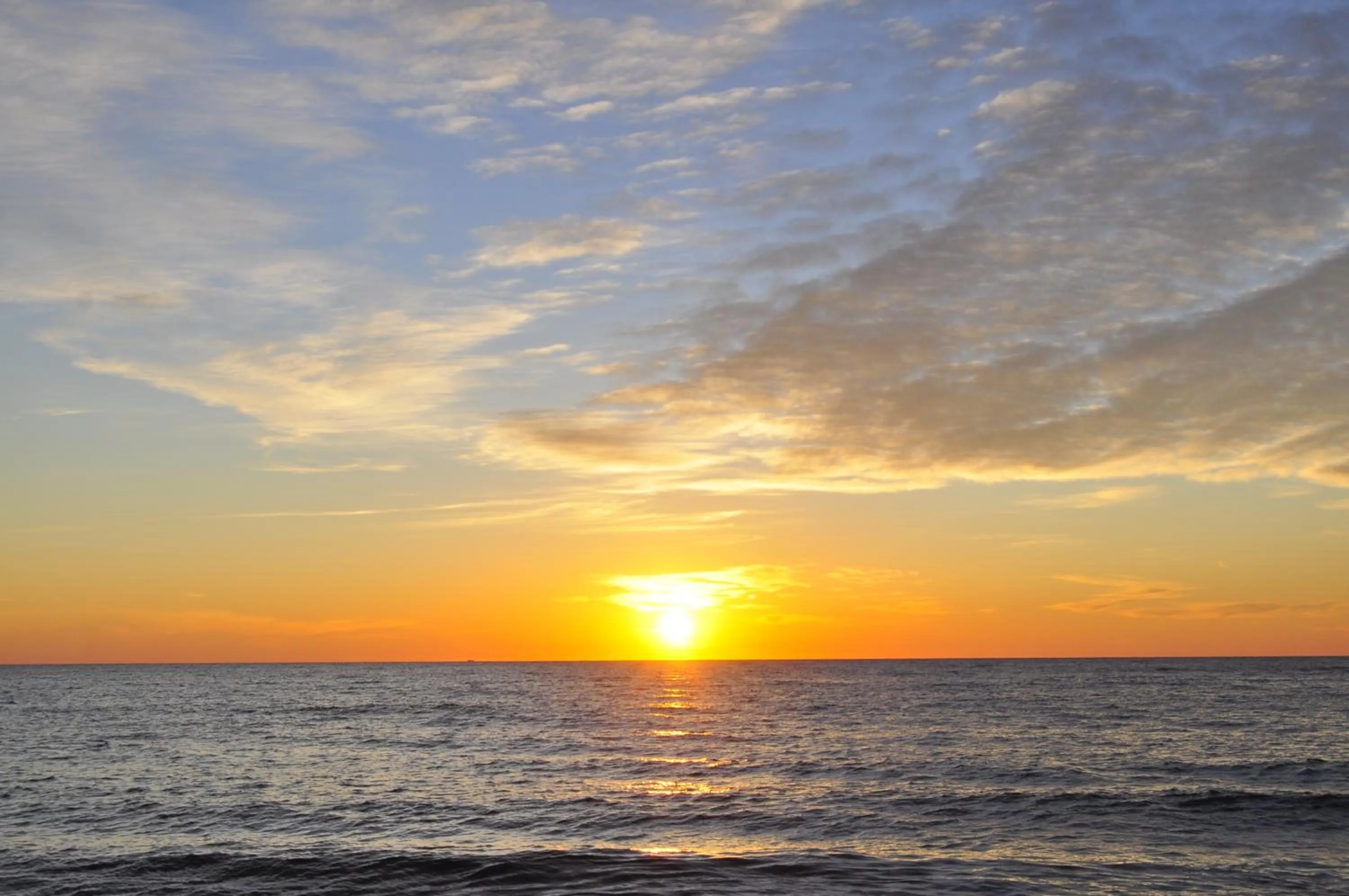 Natural landscape in SeaLoft Oceanfront Hotel