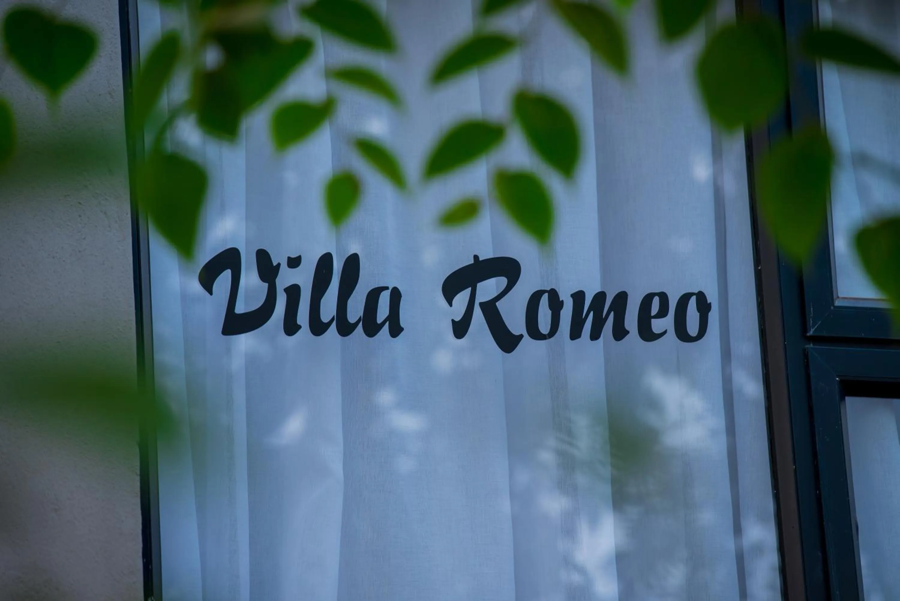 Day in Mt Pleasant Bed and Breakfast Ltd