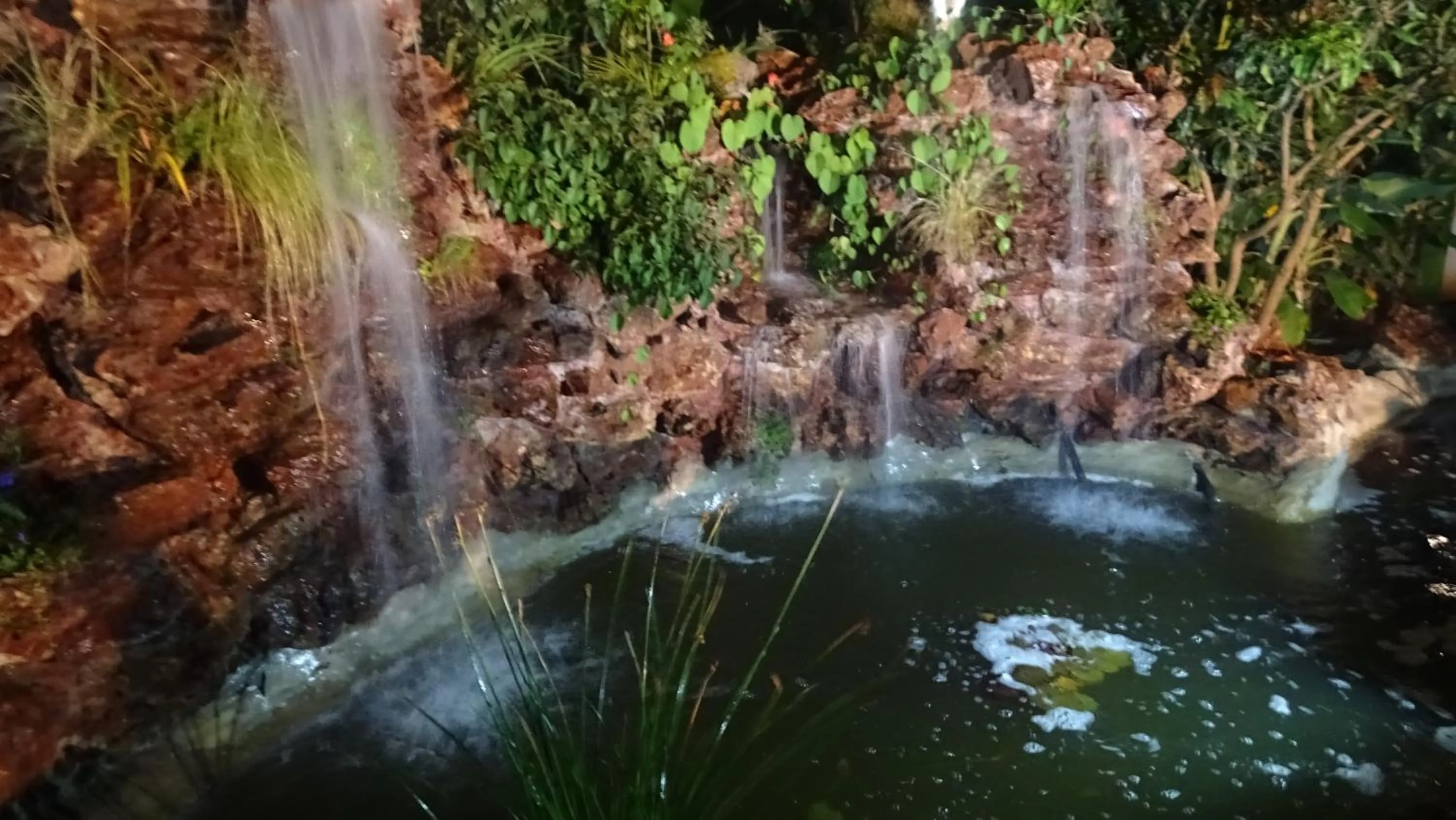 Natural landscape in Mt Pleasant Bed and Breakfast Ltd