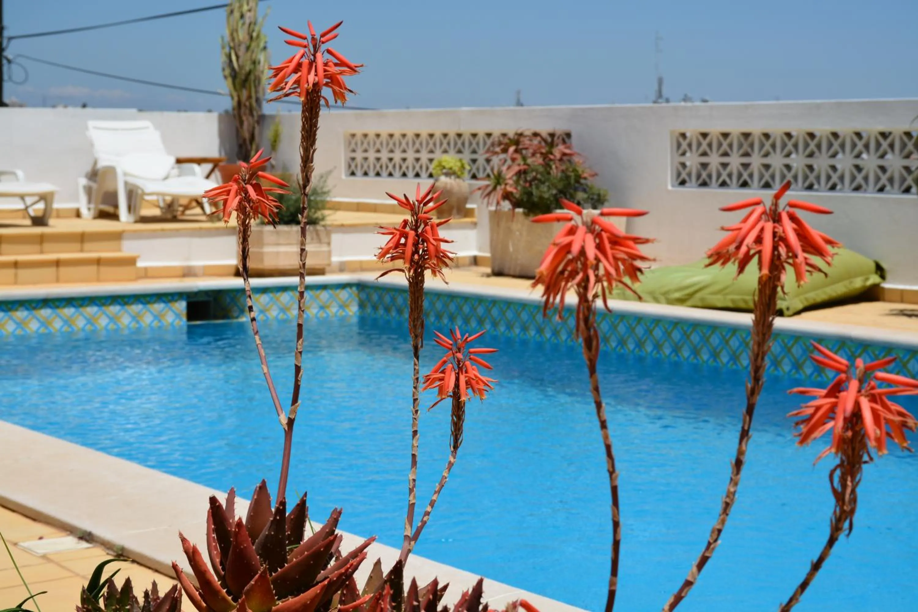 Pool view in Tavira Terrace