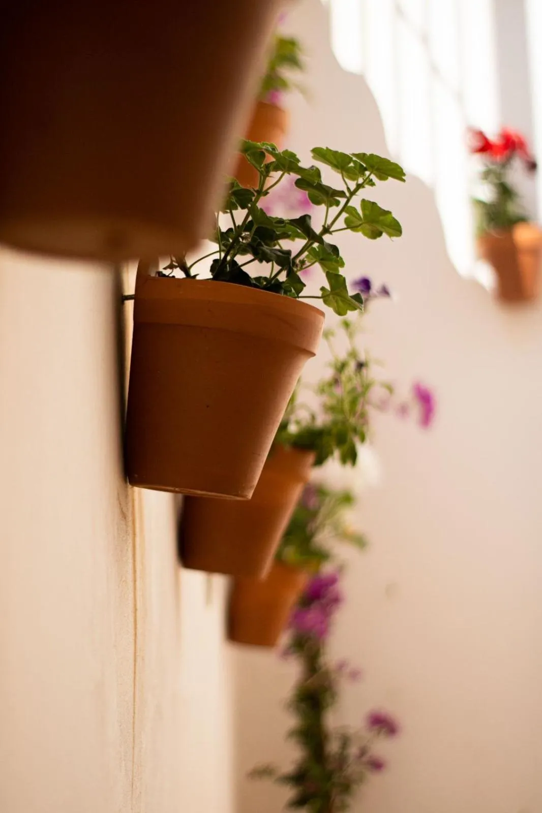 Property building in Don Paula