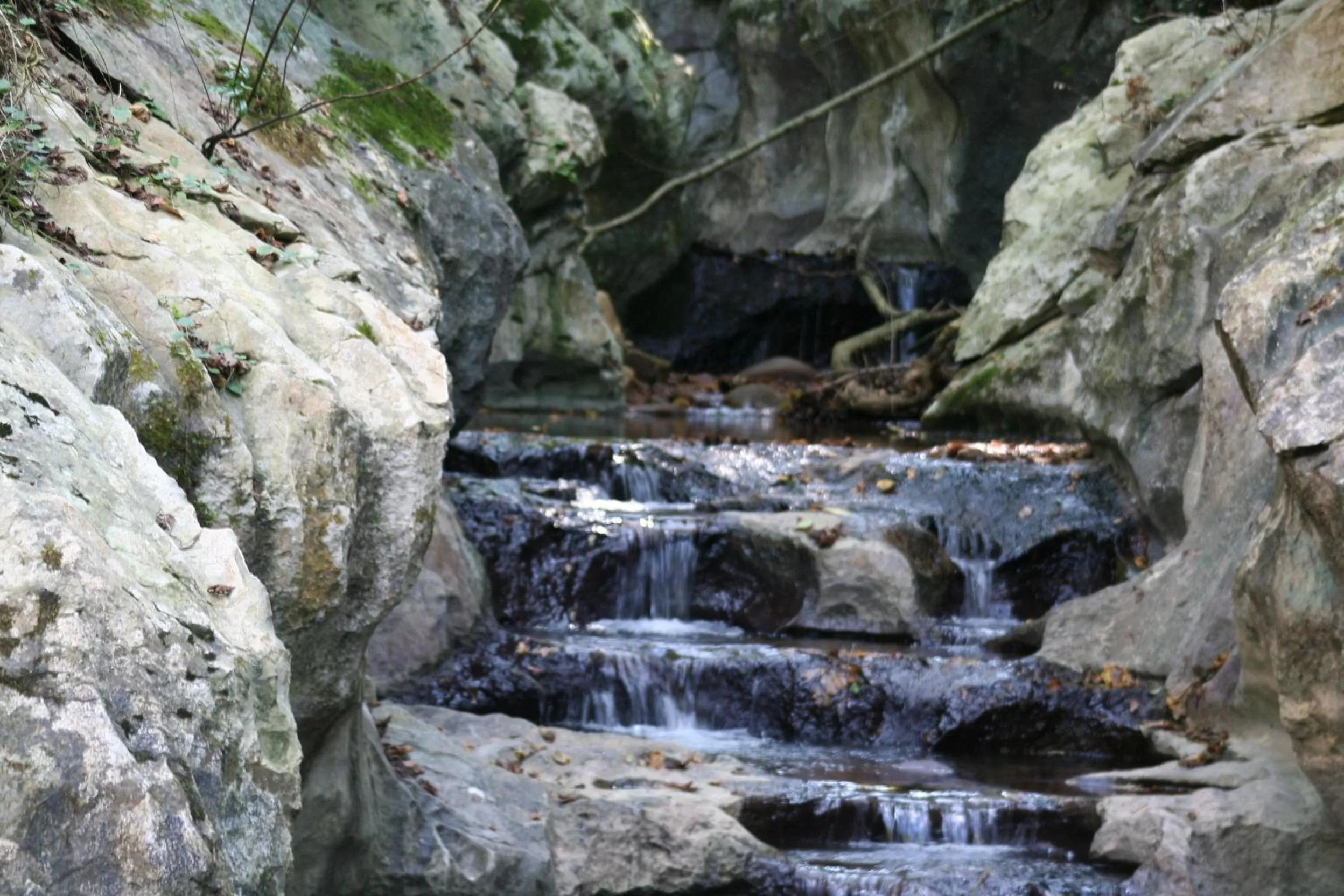 Area and facilities in Hotel Rural Bereau