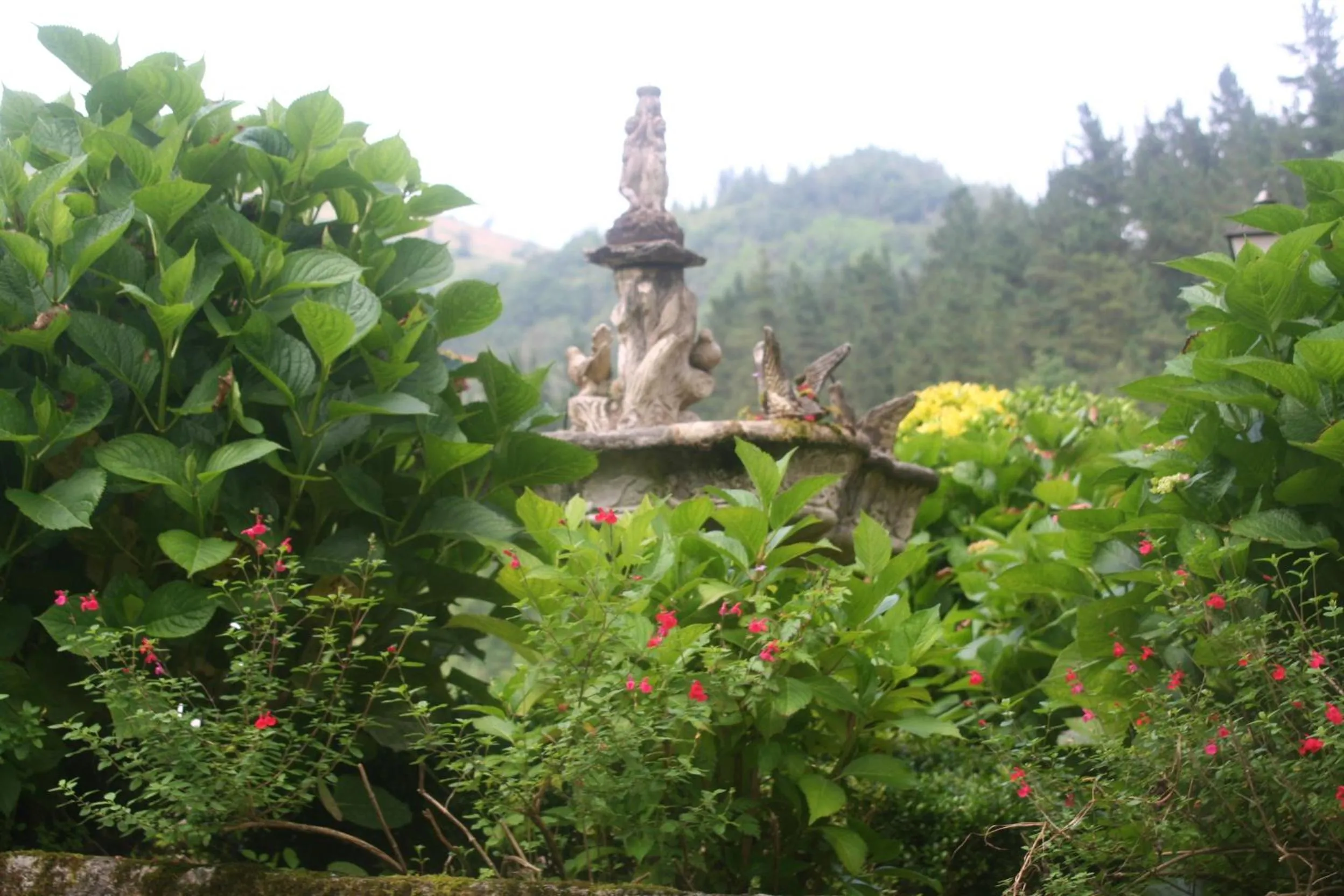 Garden in Hotel Rural Bereau