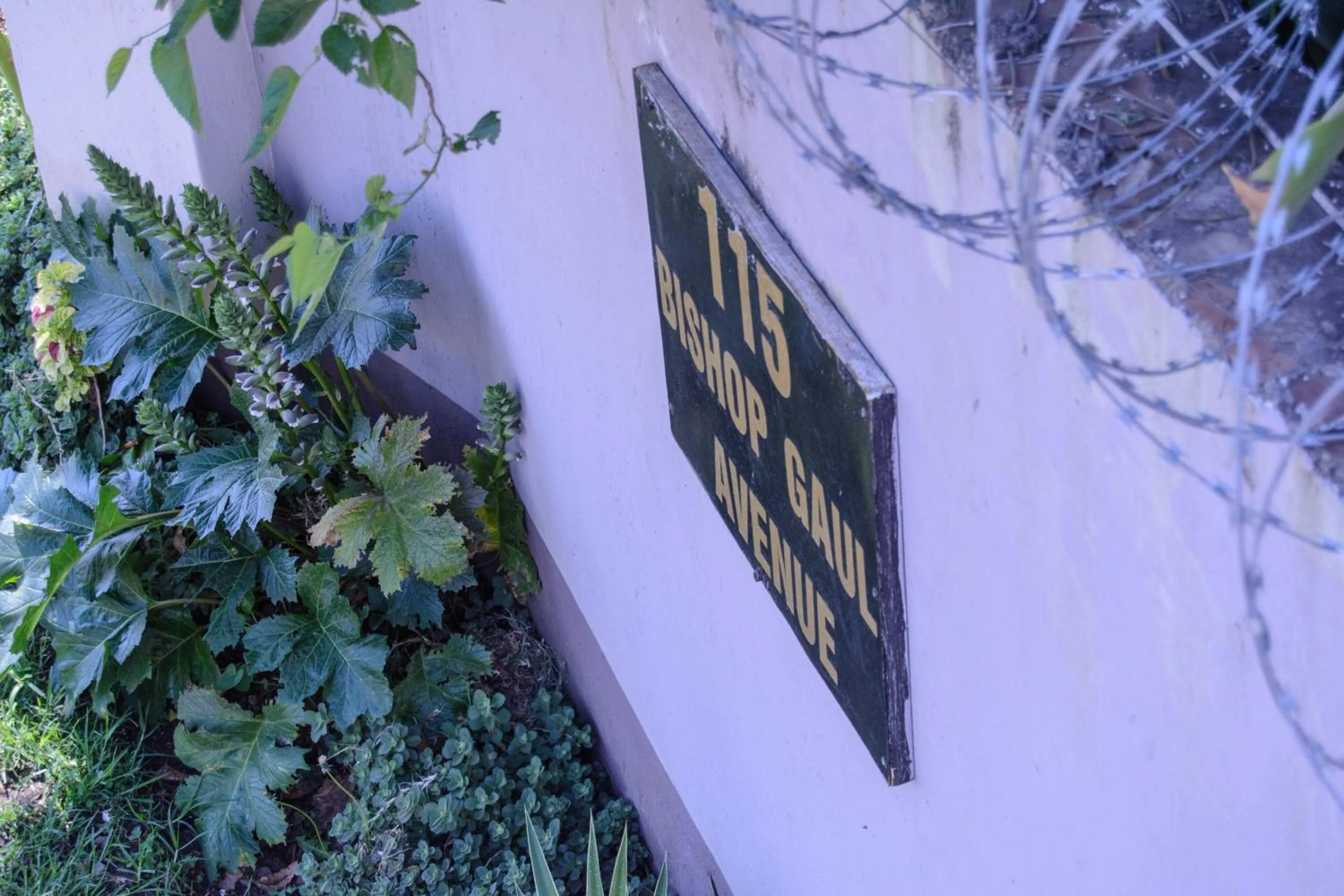 Other in The Palace Guest House