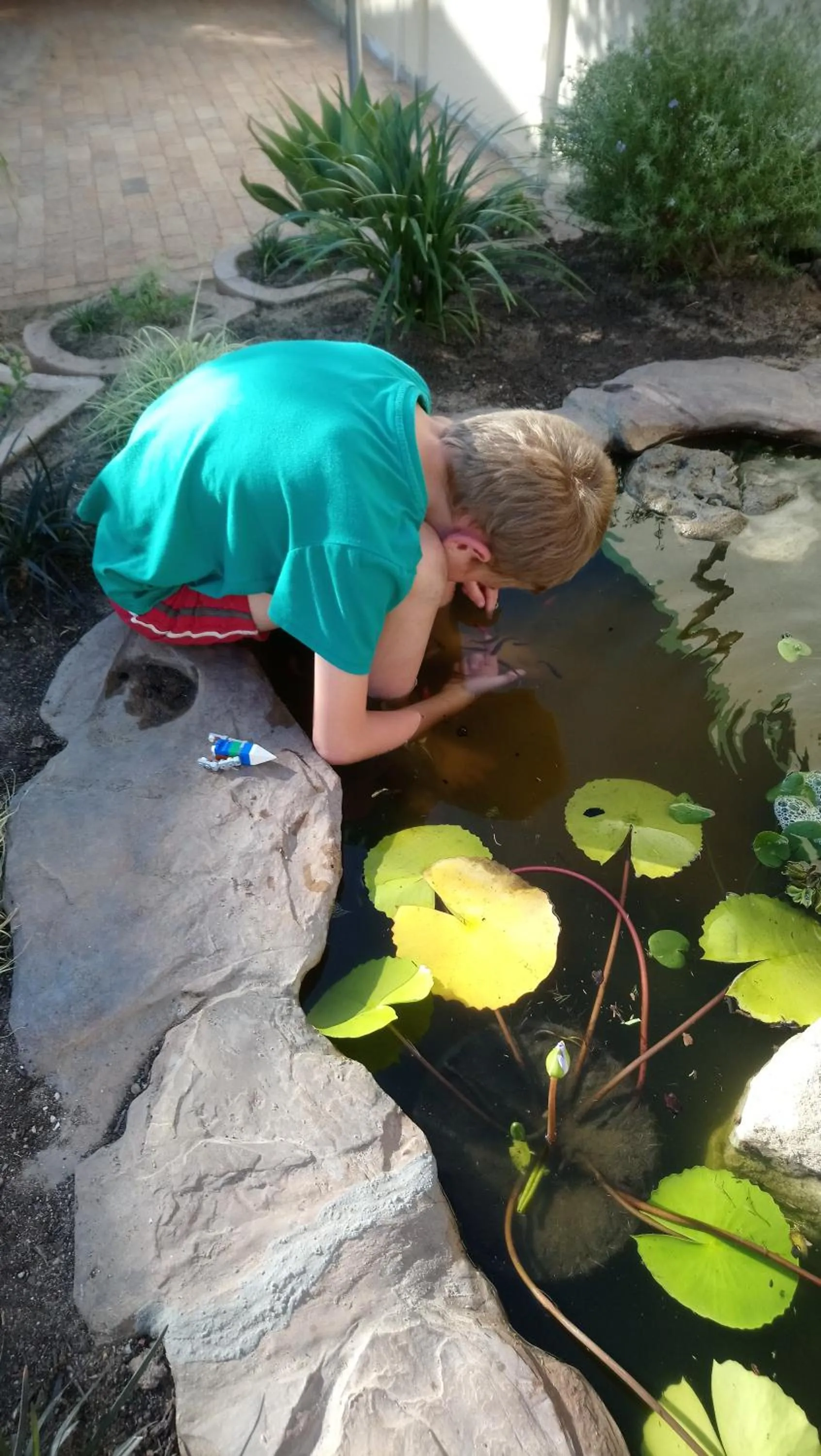Garden in Welterusten Guesthouse