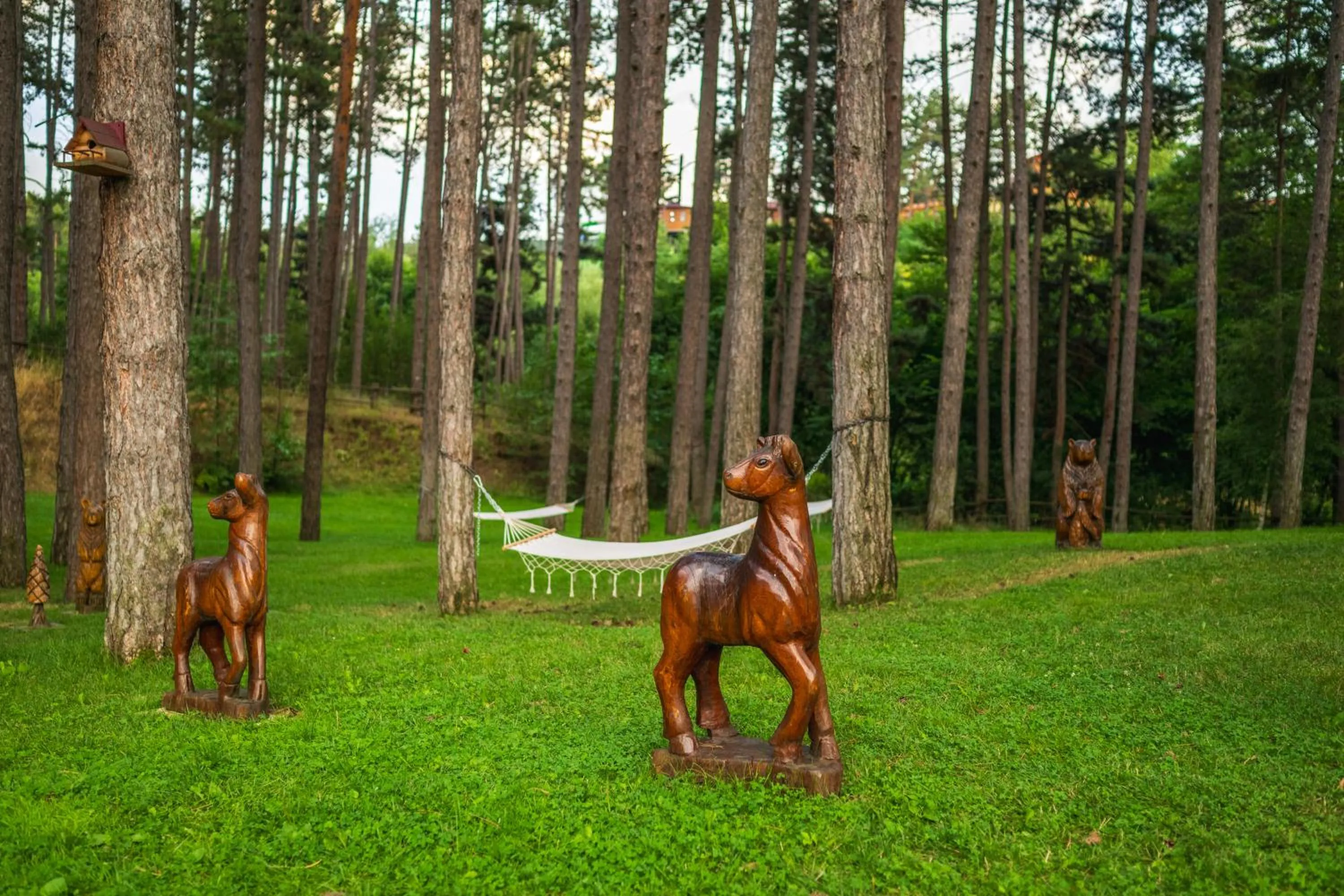 SPA Hotel Infinity Park Velingrad