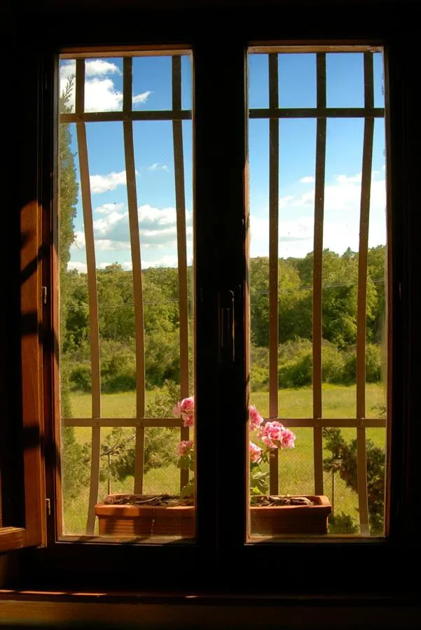 Day in Tenuta Santagnese