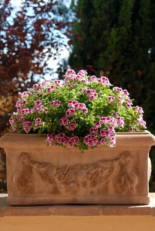 Day in Tenuta Santagnese