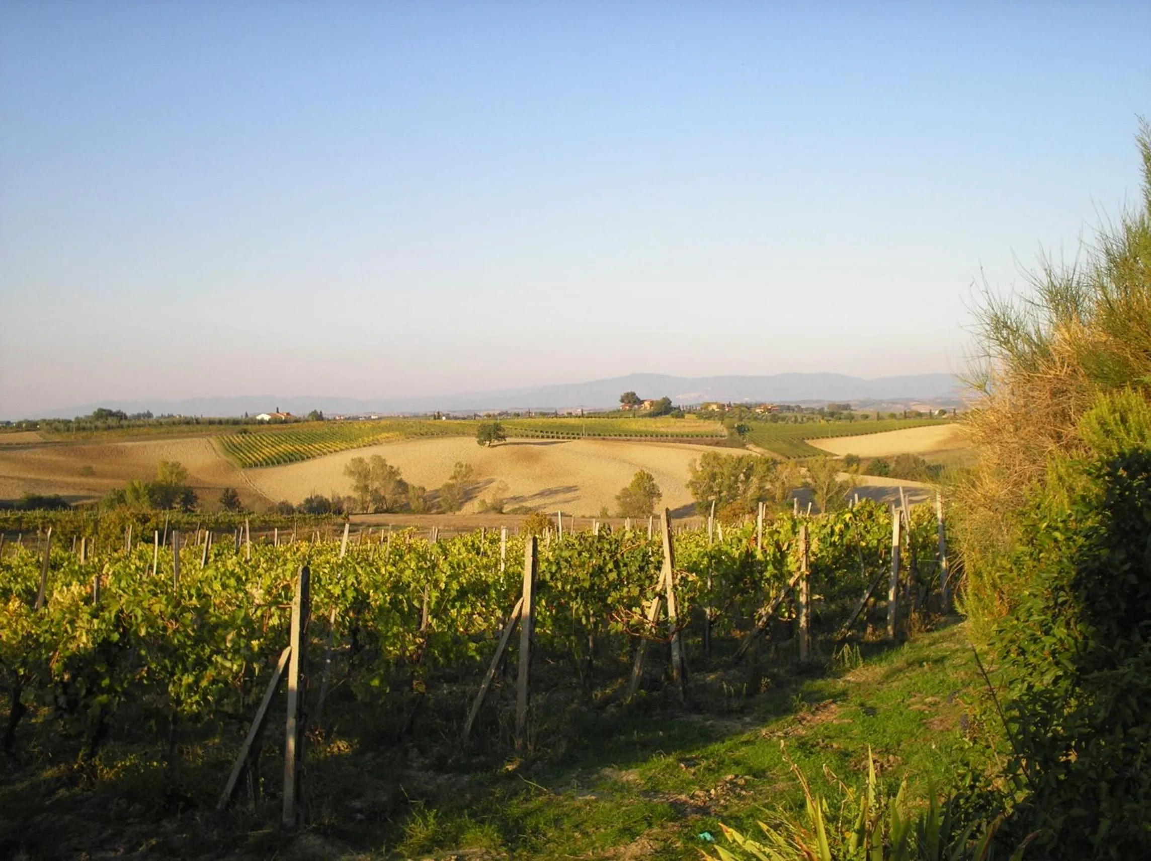 Day in Tenuta Santagnese