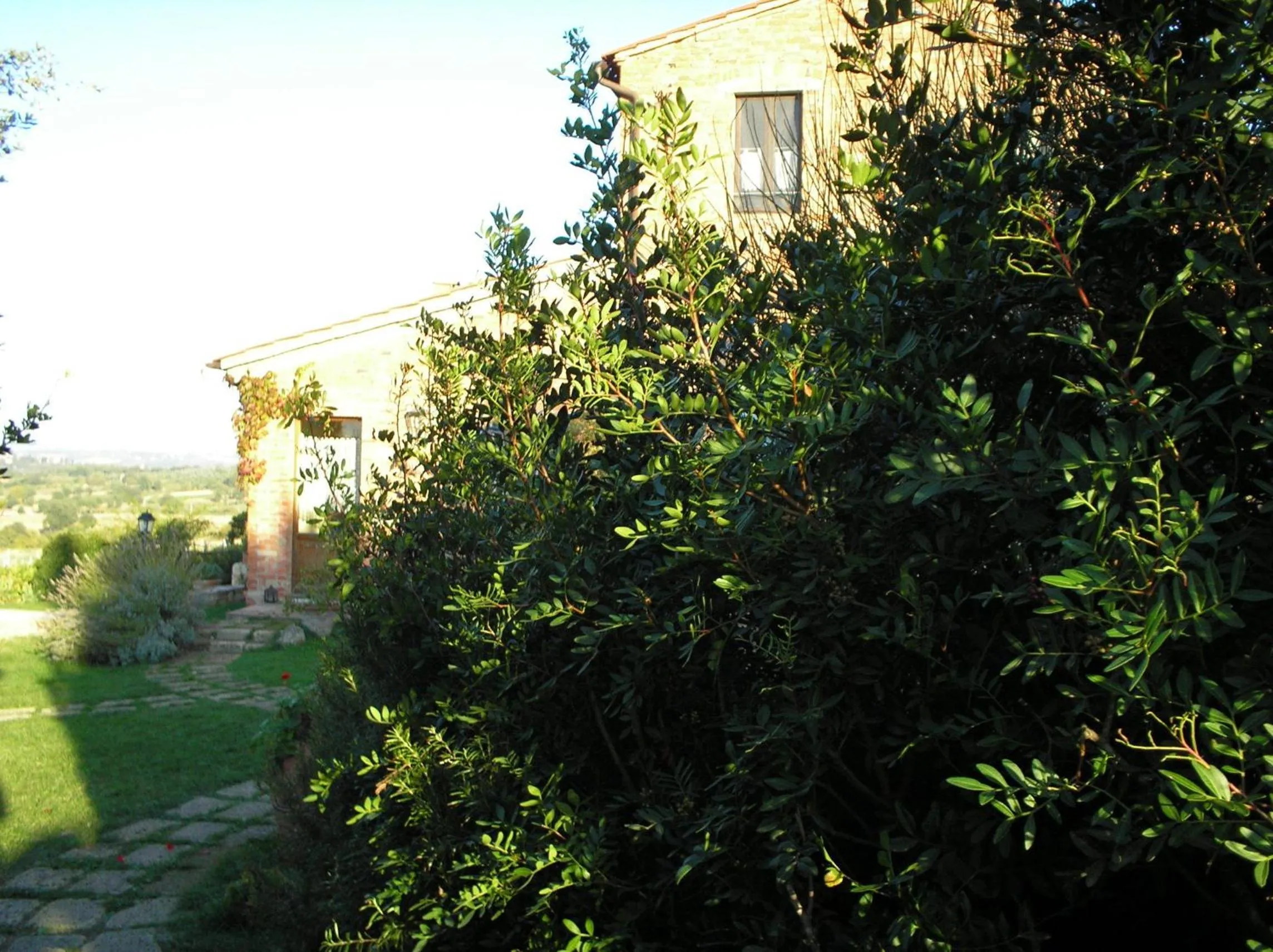 Day in Tenuta Santagnese